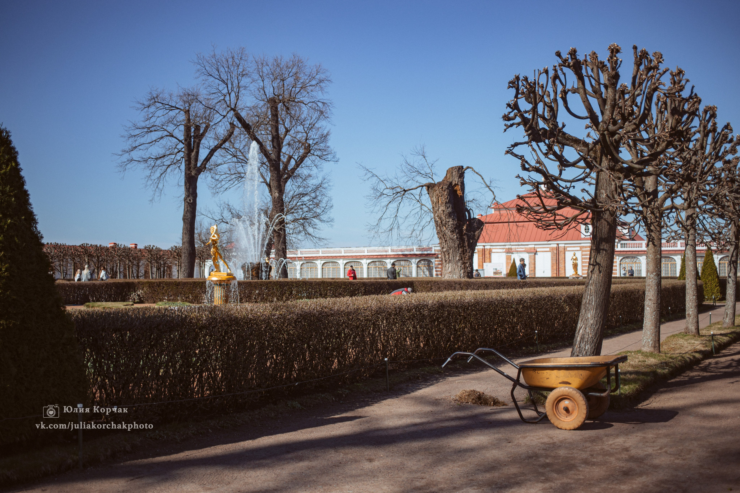 Петергоф нижний парк фото