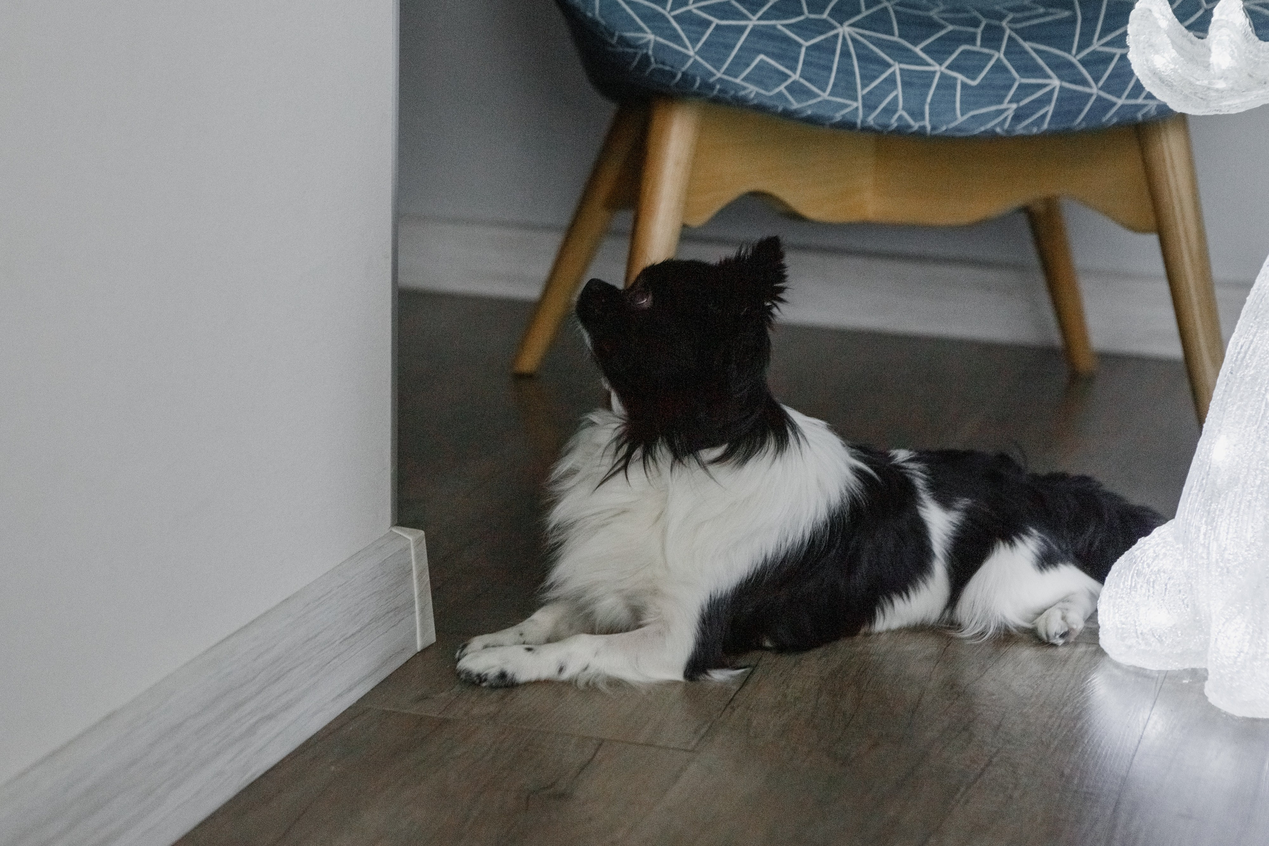 Пулатовы. Семейный и портретный фотограф в Санкт-Петербурге