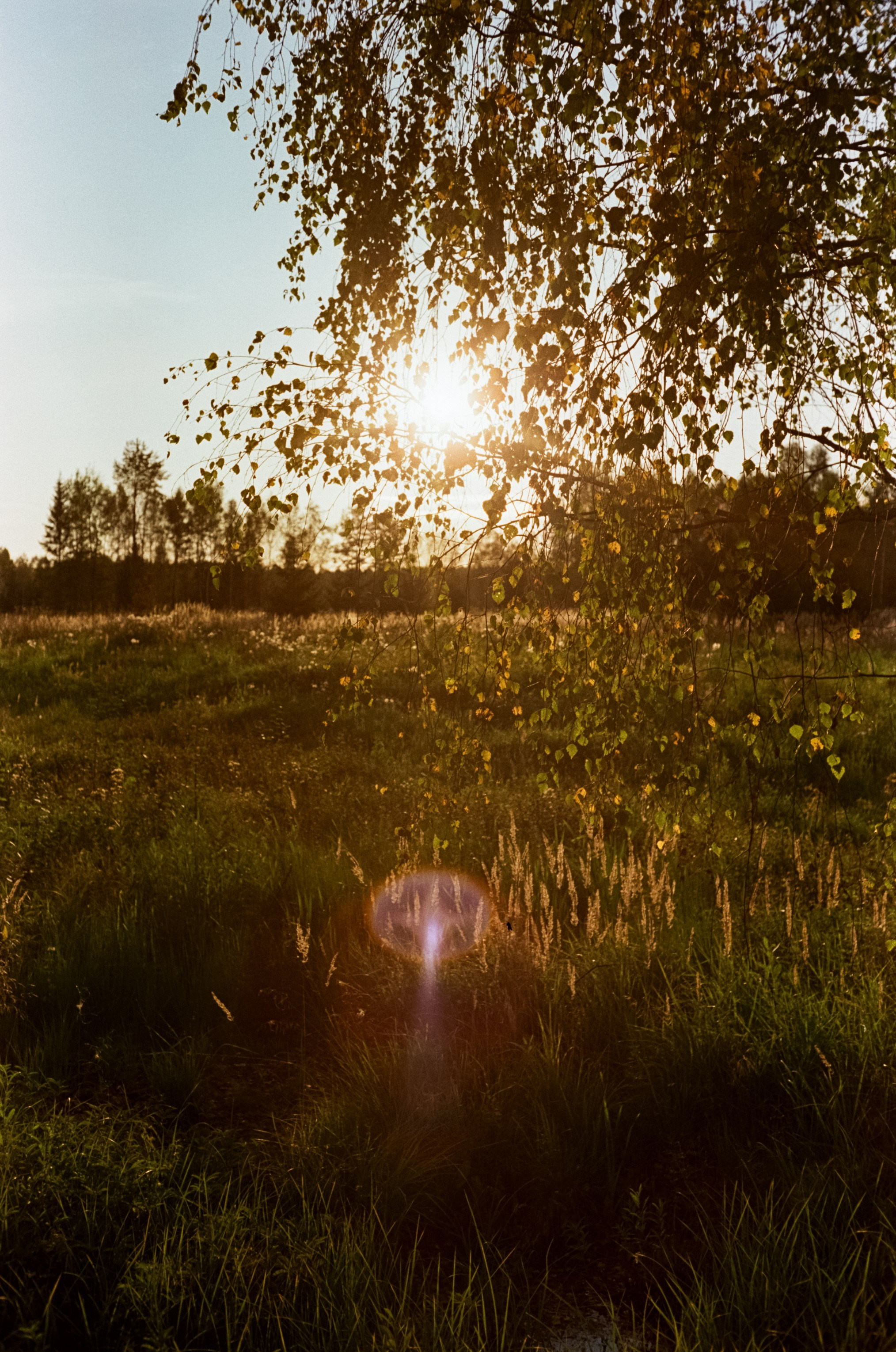 Minolta Hi-Matic 7SII примеры фотографий