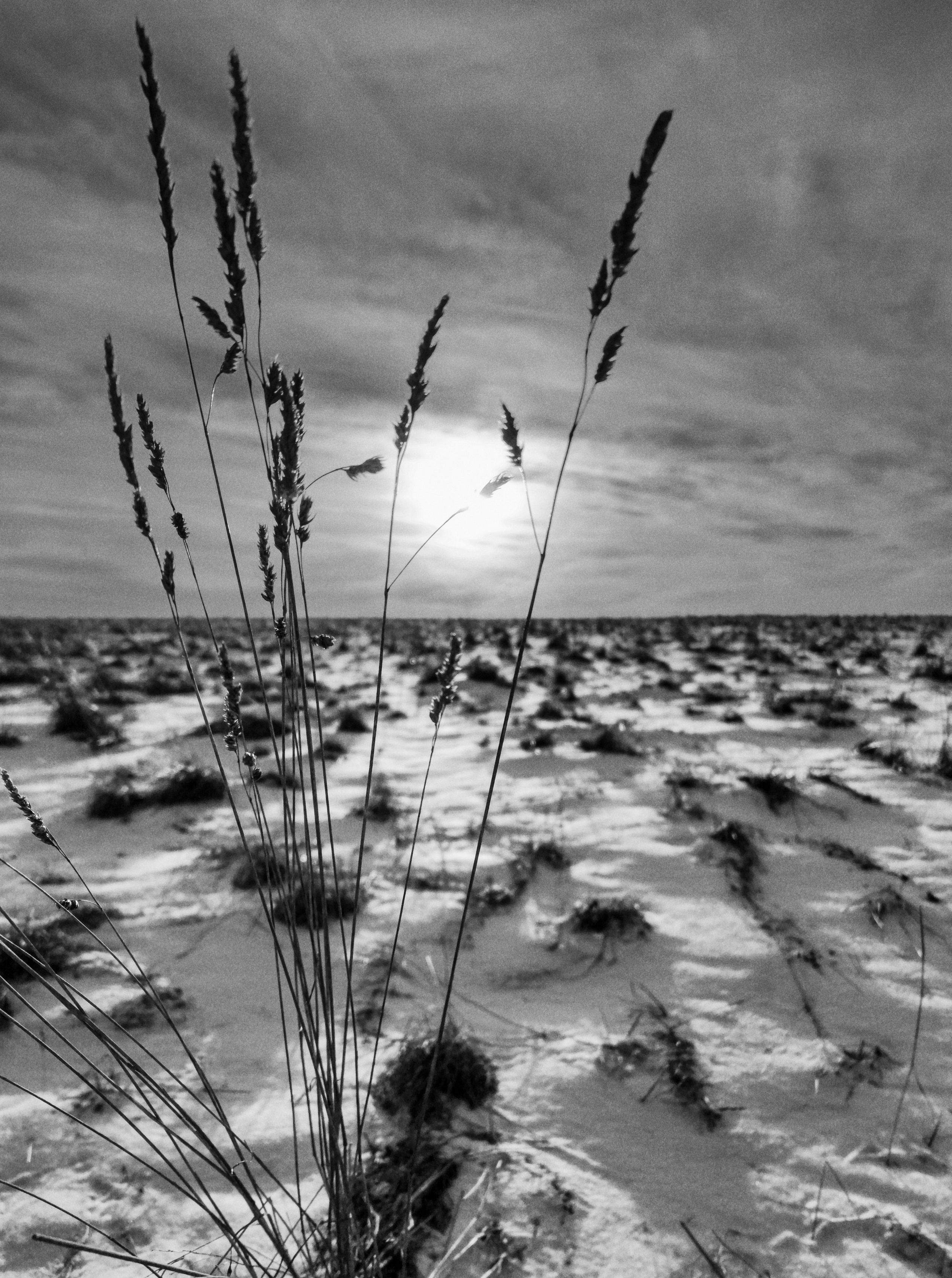 Жизнь деревенская. Фотограф Антон Швец — Монохромная реальность