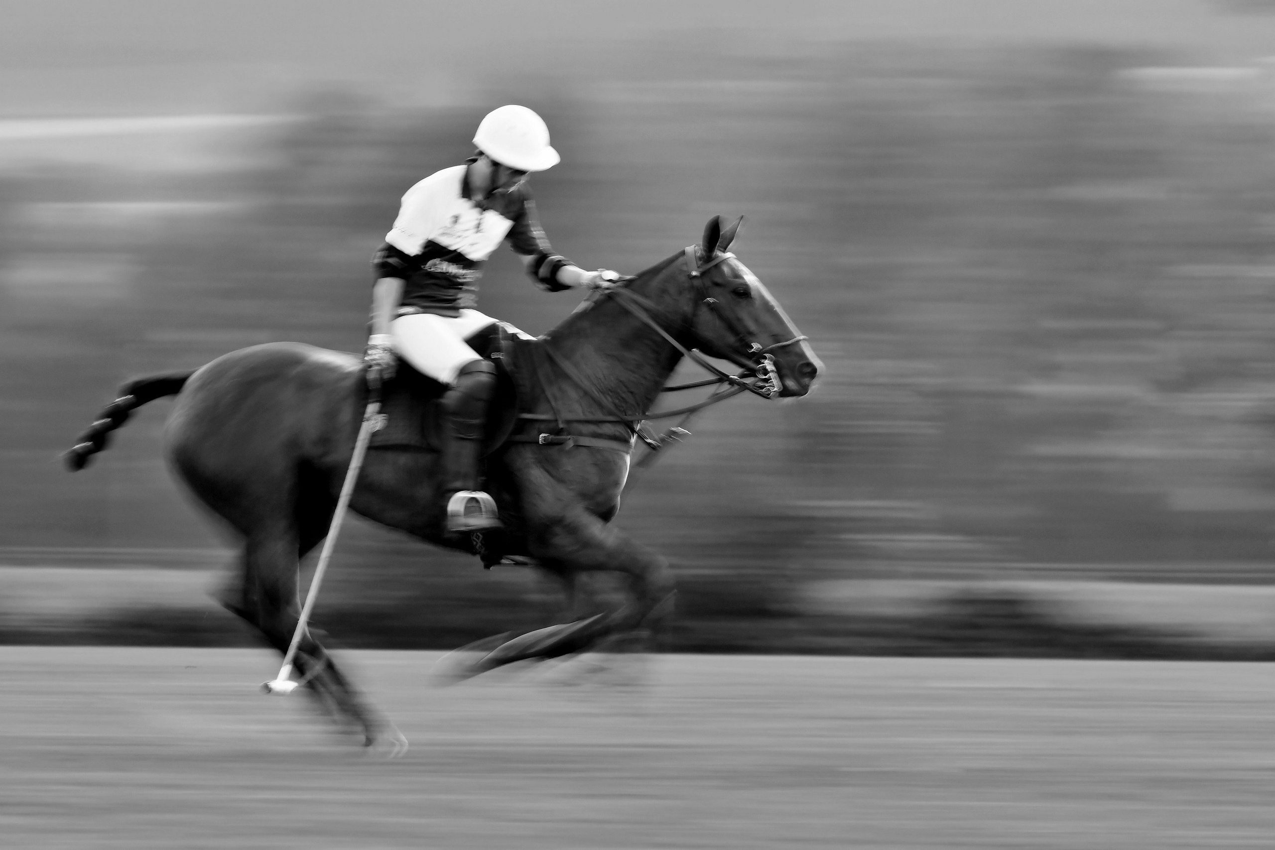 Polo art photos. Art photos of horses — ARTUR BABOEV | Photographer