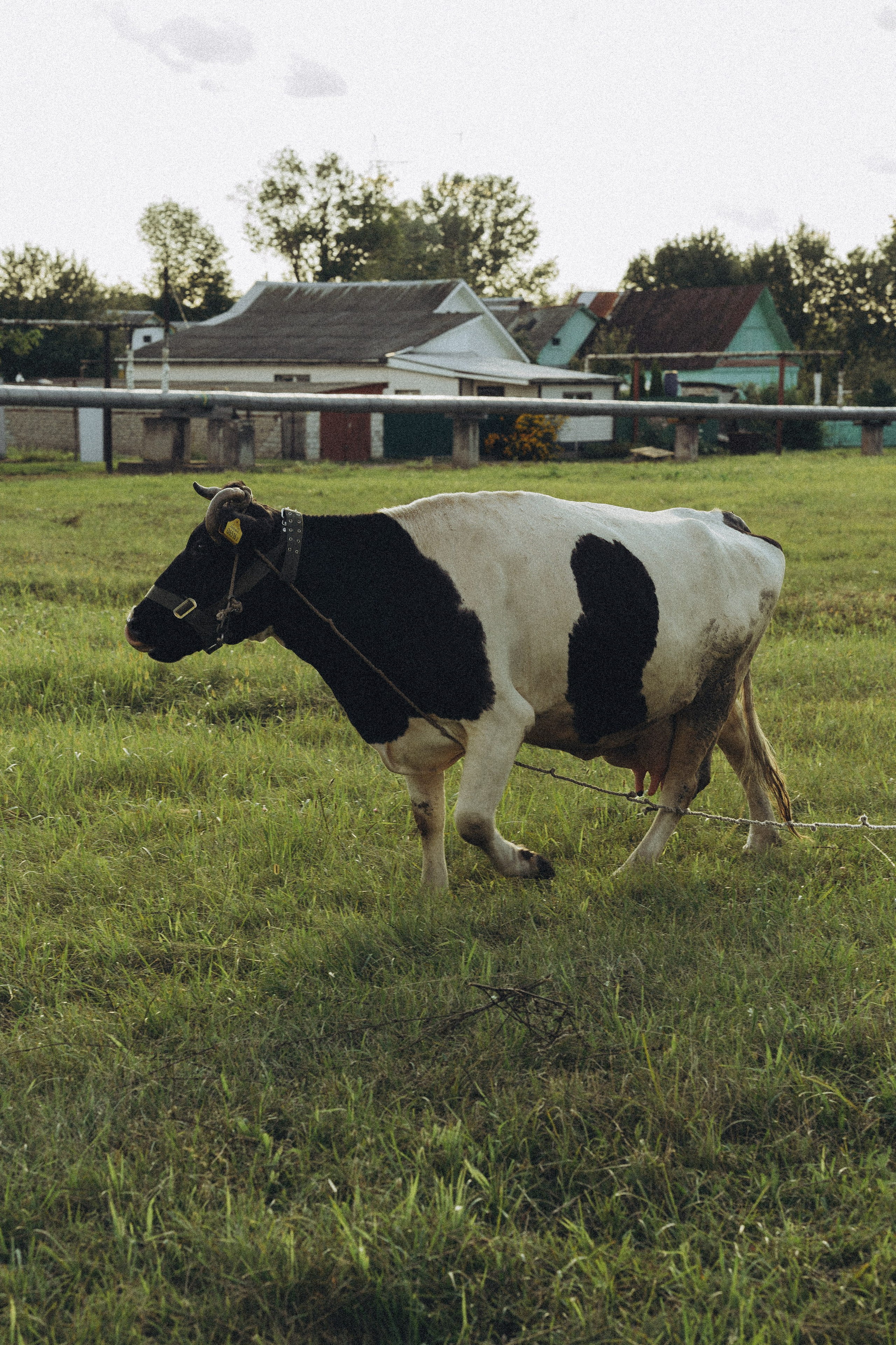 Вика и Алиса. Фотограф Санкт-Петербург/Гомель Виктория Петрова