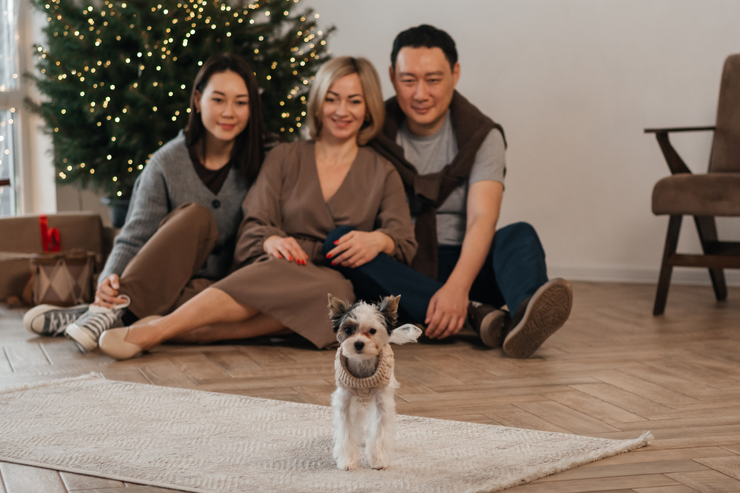 Новогодняя семейная фотосессия. Семейный и детский фотограф Кущ Наташа