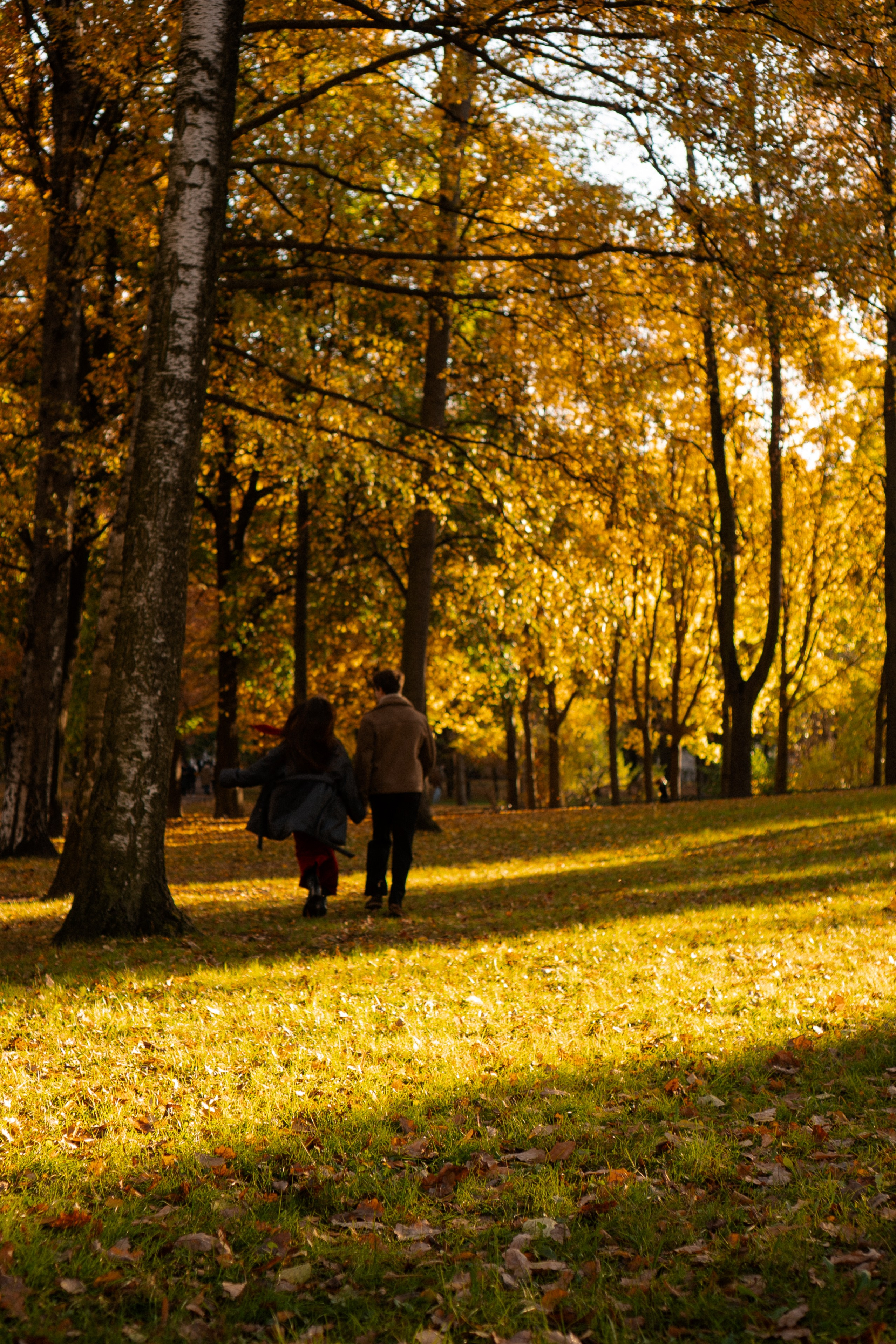 ОСЕННЯЯ ПРОГУЛКА. Профессиональный фотограф, Санкт-Петербург — Виктория Богомолова