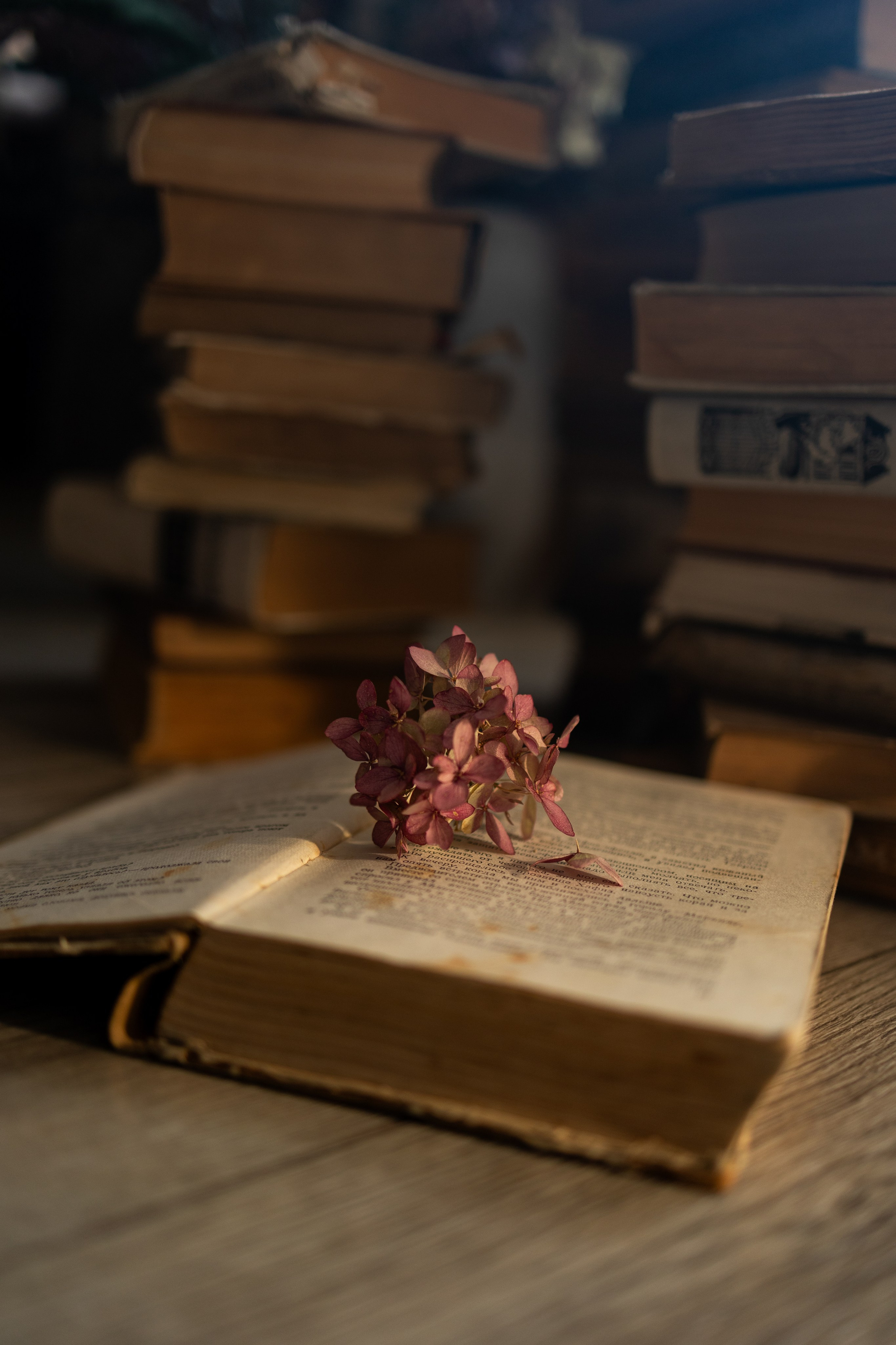 Julia. Portraiture & lifestyle photographer in Dubai/Almaty, Olga Chernyak