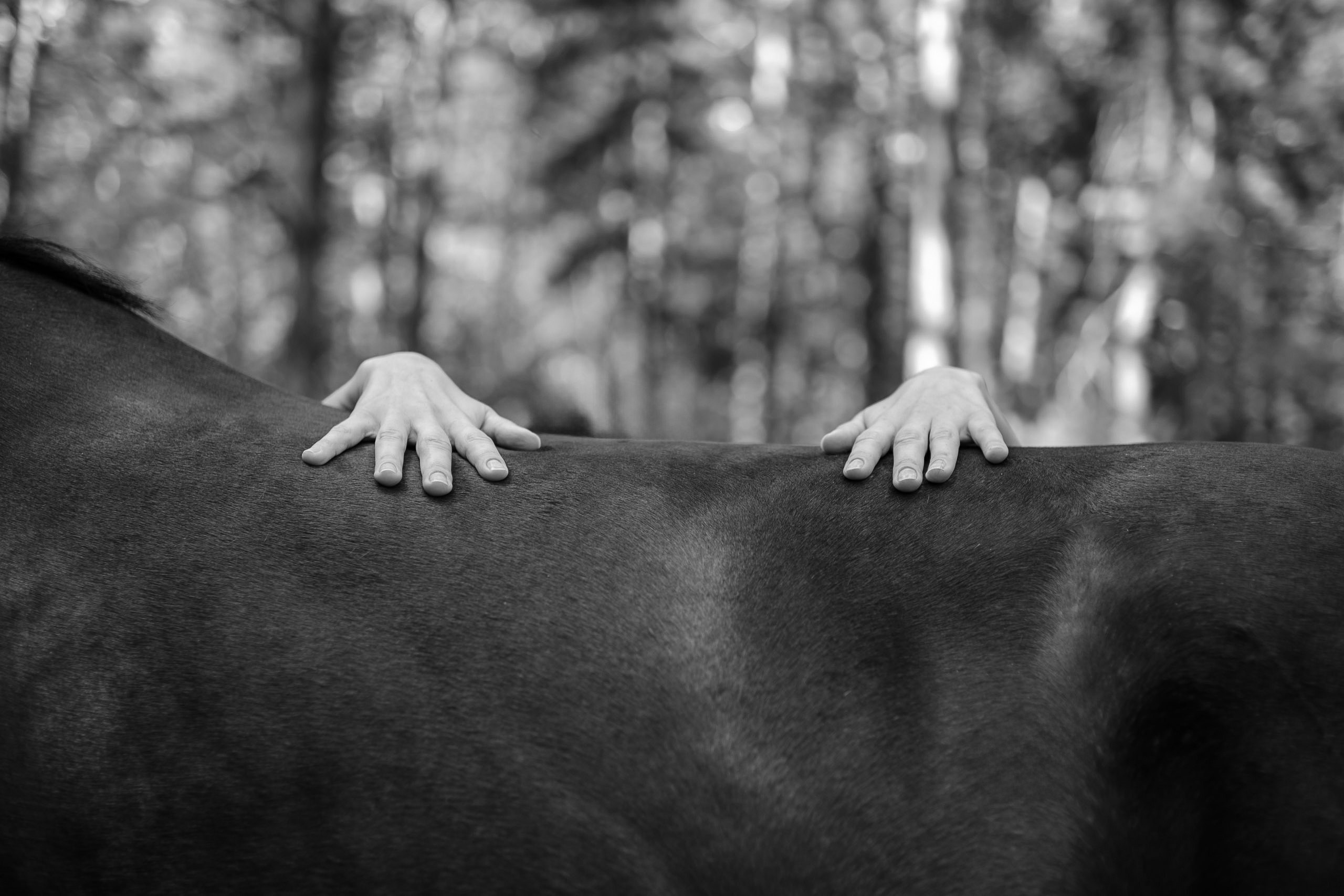 Сьемка Ксения. Женский фотограф в Новосибирске Вячеслав Семакин