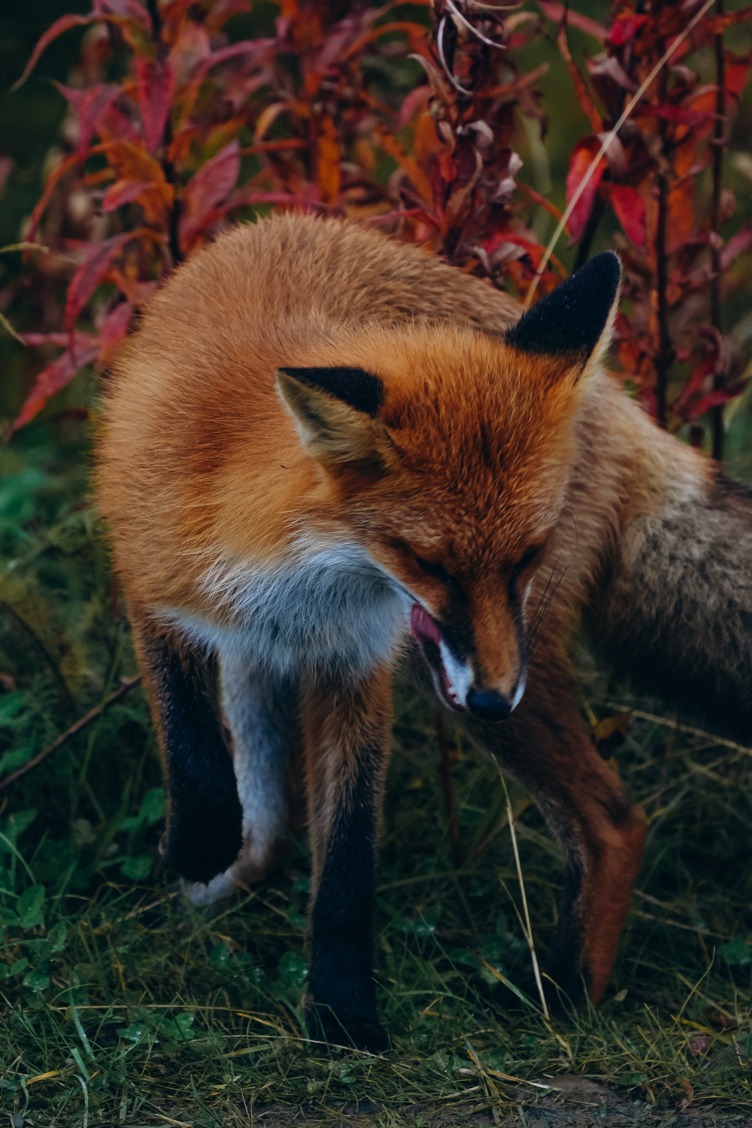 СЕВЕР. Event фотограф Степанова Александра