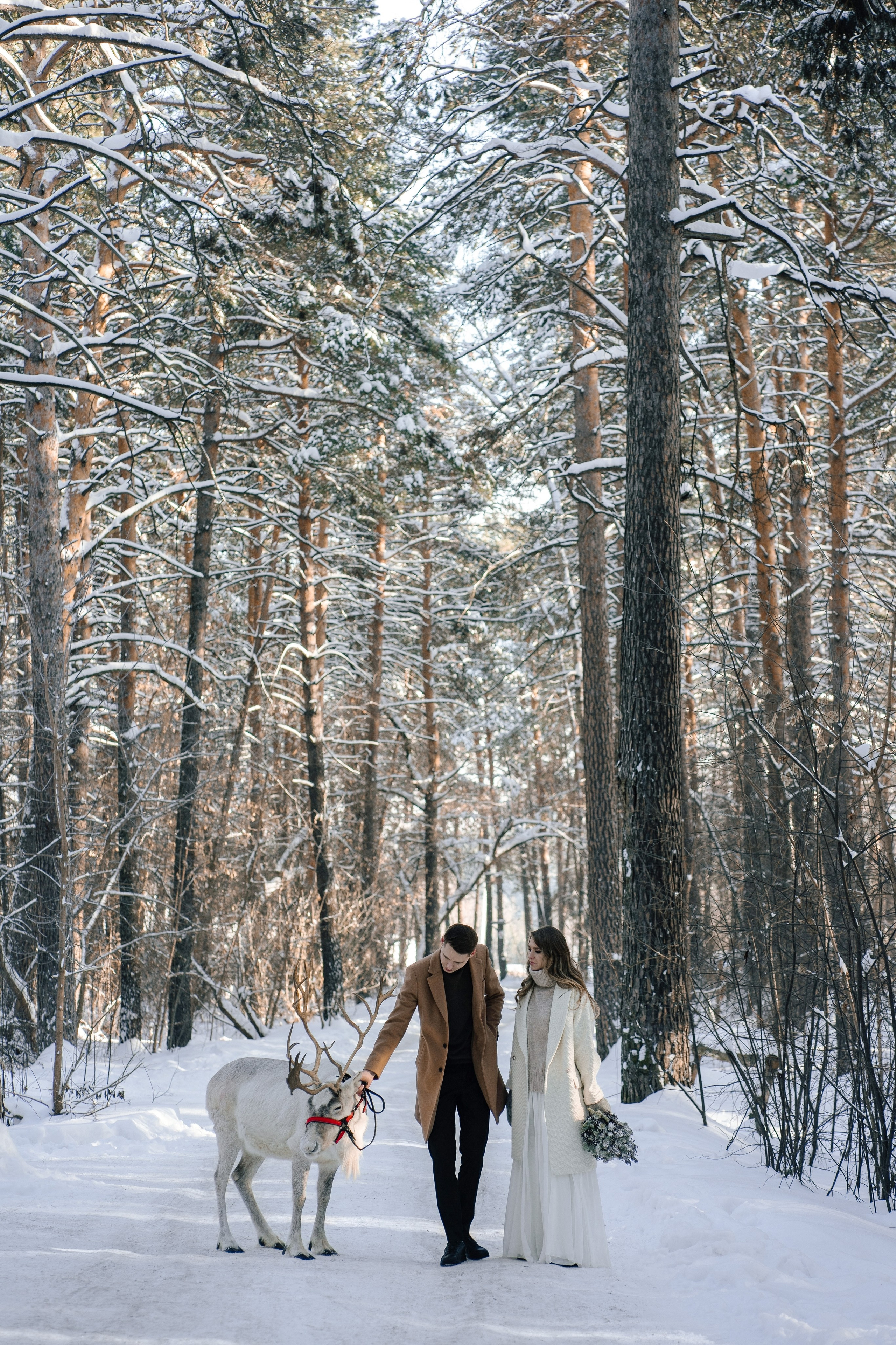 Избранные снимки. Свадебный фотограф в Санкт-Петербурге — Евгения Лютоева