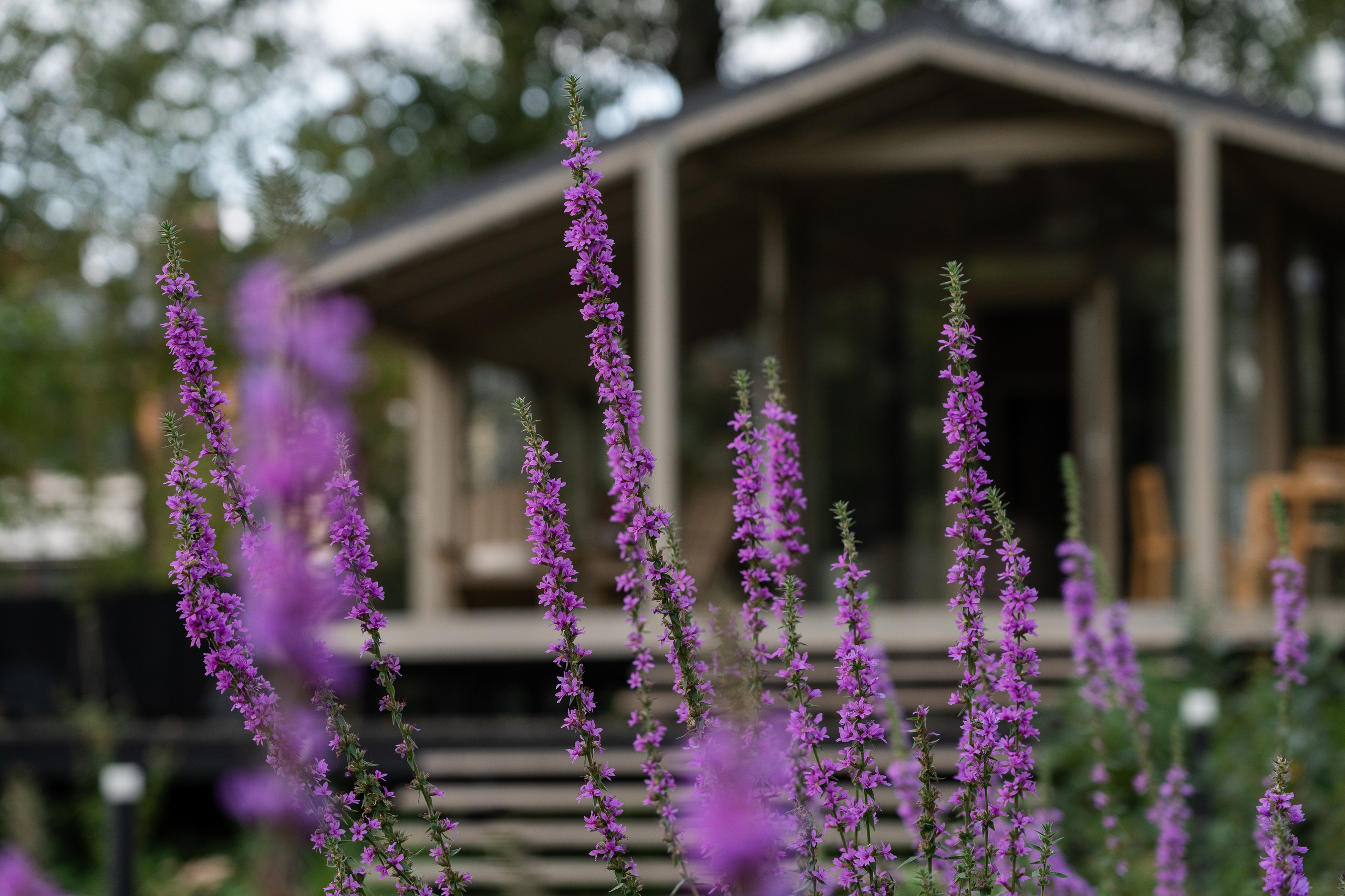 DublDom. Артамонов Александр | Архитектурный и ландшафтный фотограф