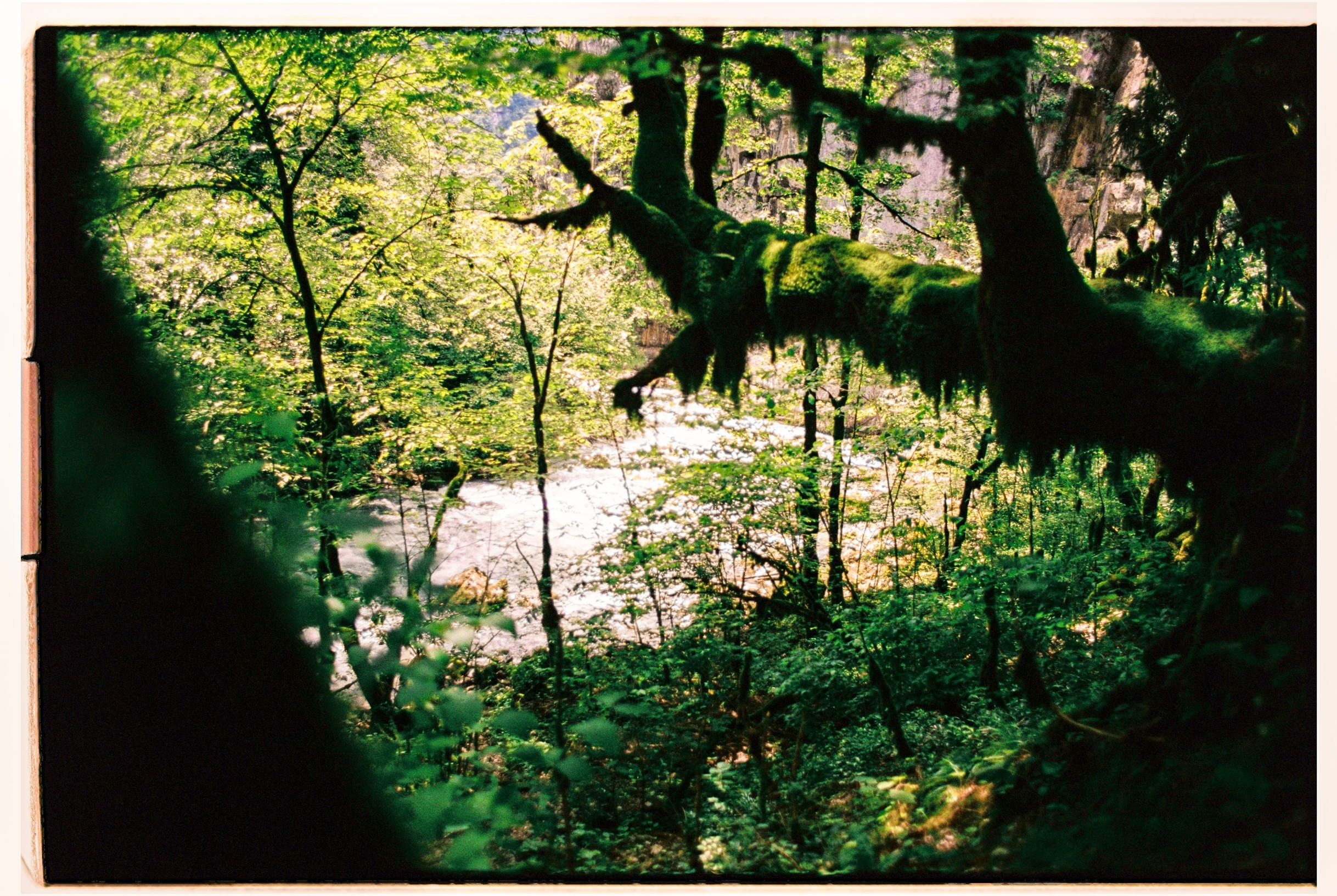 Abkhazia-2023. Никита Демидов. Nikita Demidov