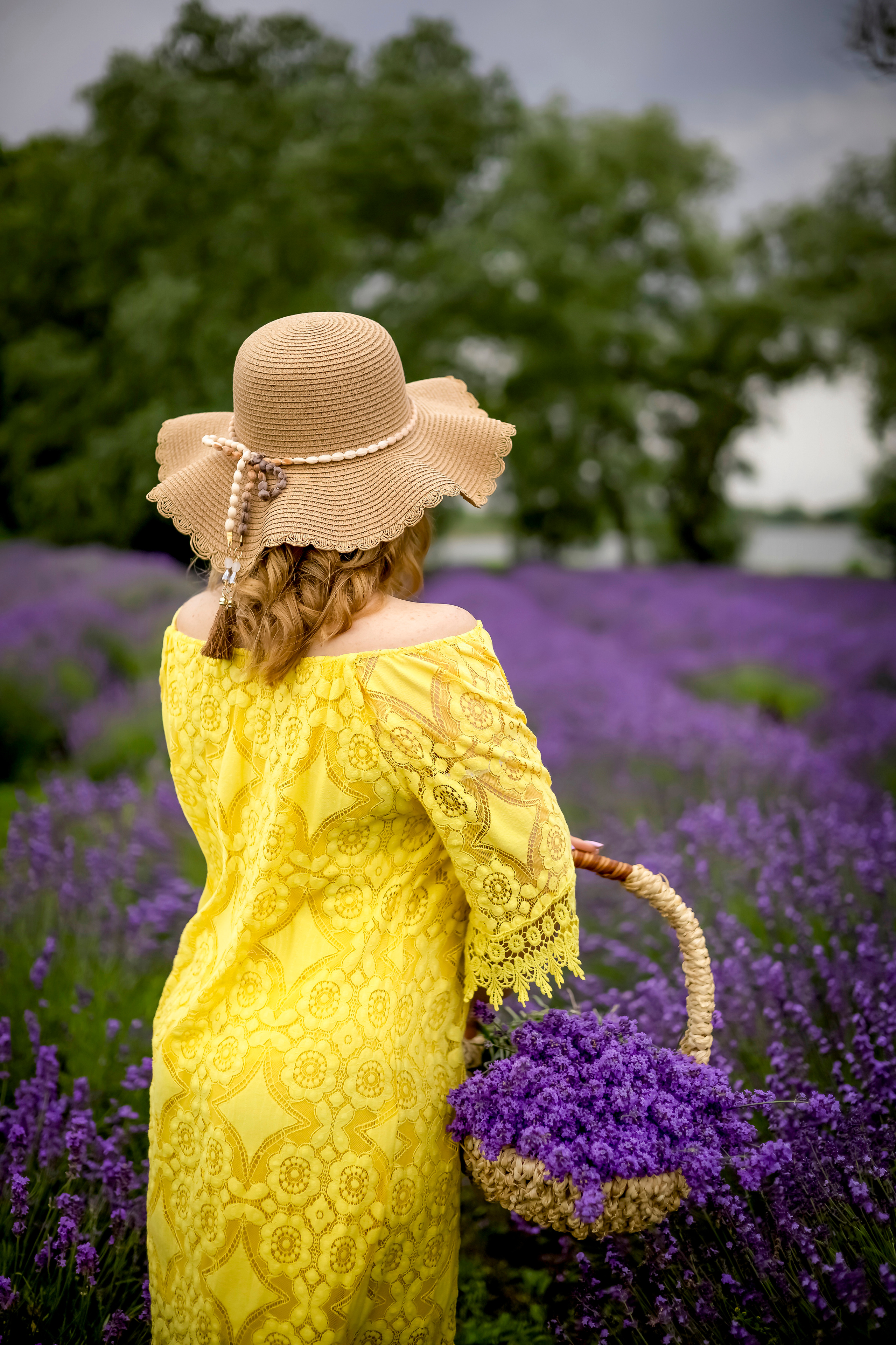 ЕЛЕНА В ЛАВАНДЕ. Фотограф Людмила Лебединская г. Краснодар (Приморско-Ахтарский р-он)