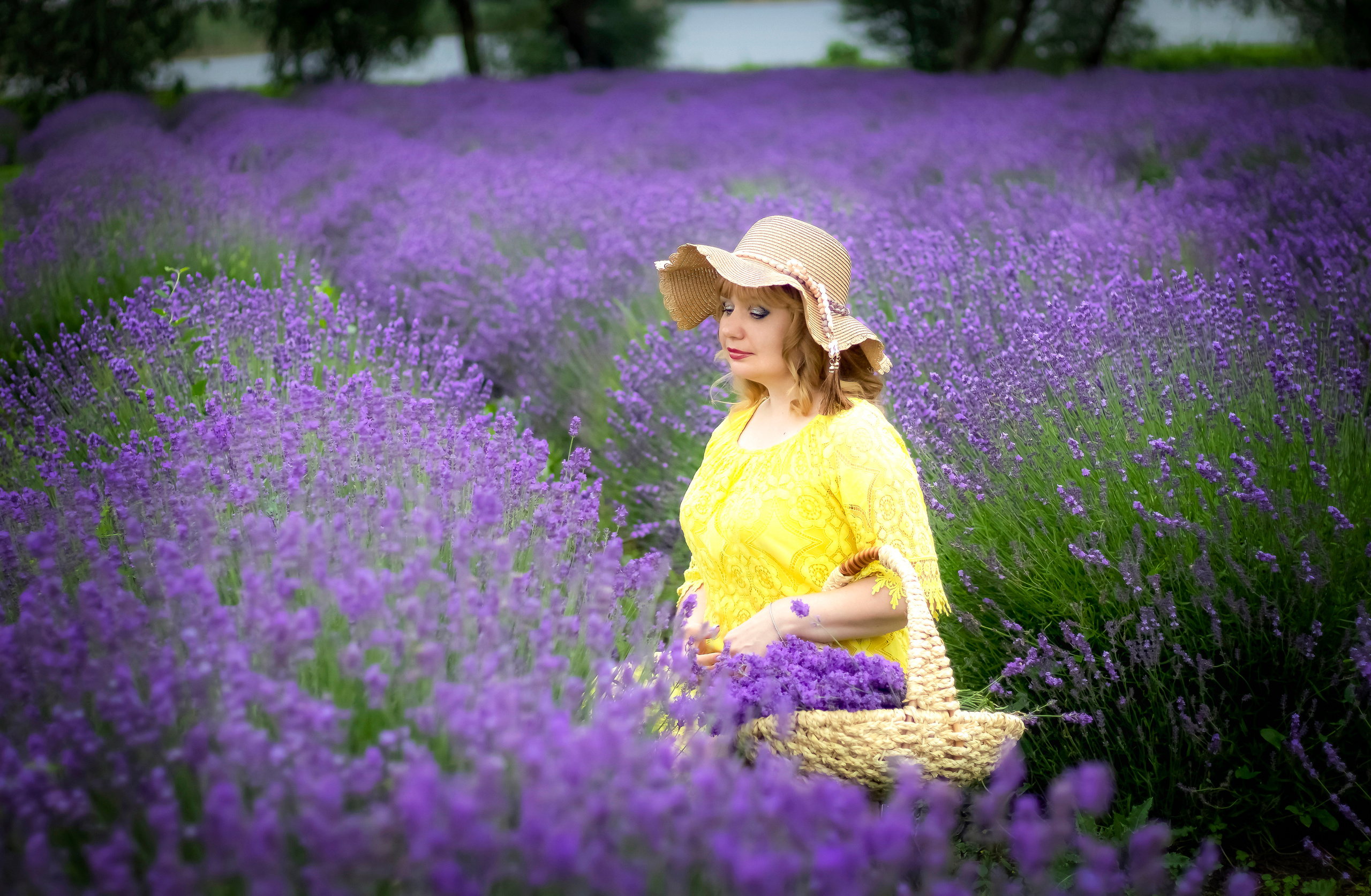 ЕЛЕНА В ЛАВАНДЕ. Фотограф Людмила Лебединская г. Краснодар (Приморско-Ахтарский р-он)