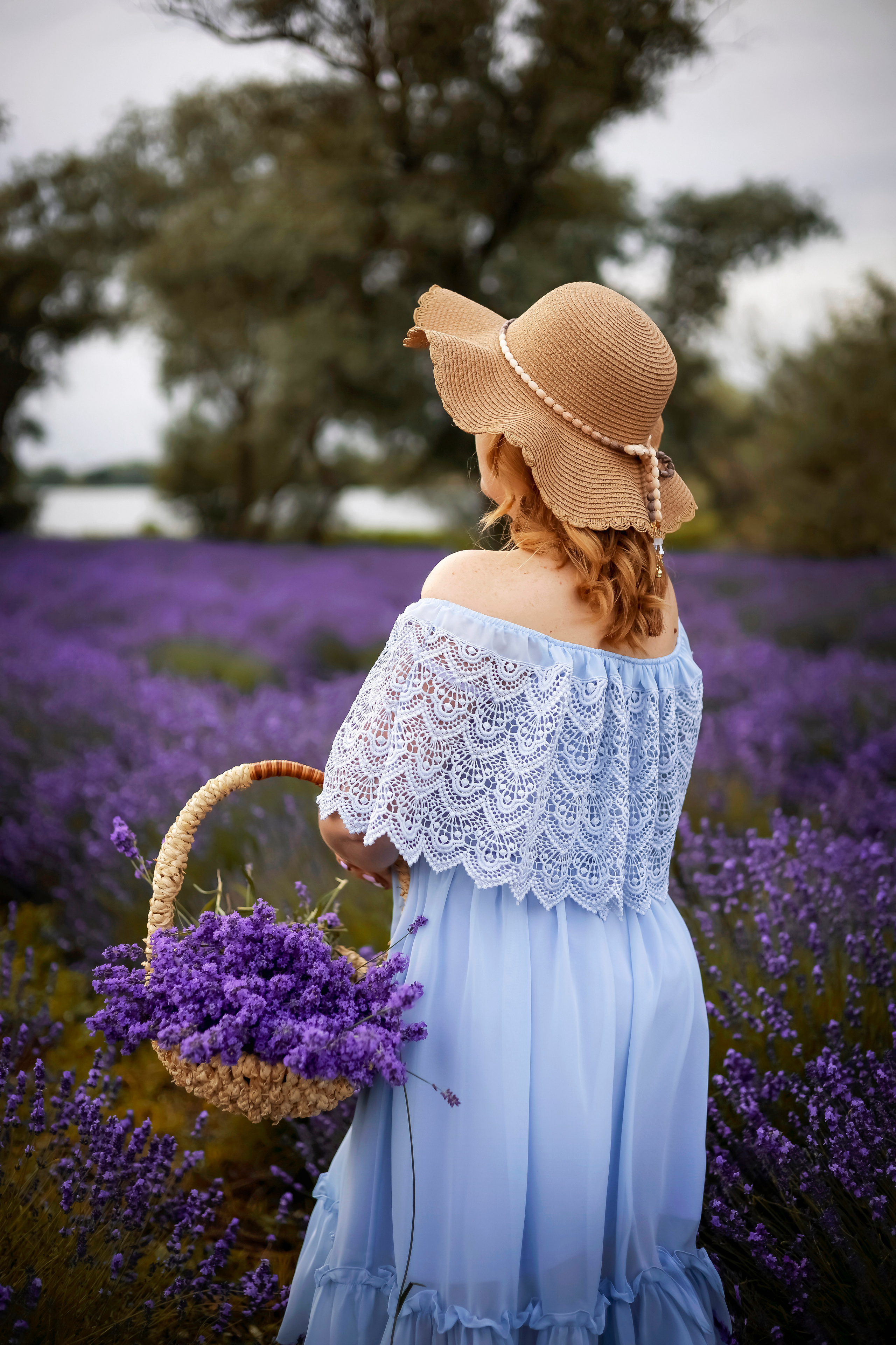 ЕЛЕНА В ЛАВАНДЕ. Фотограф Людмила Лебединская г. Краснодар (Приморско-Ахтарский р-он)