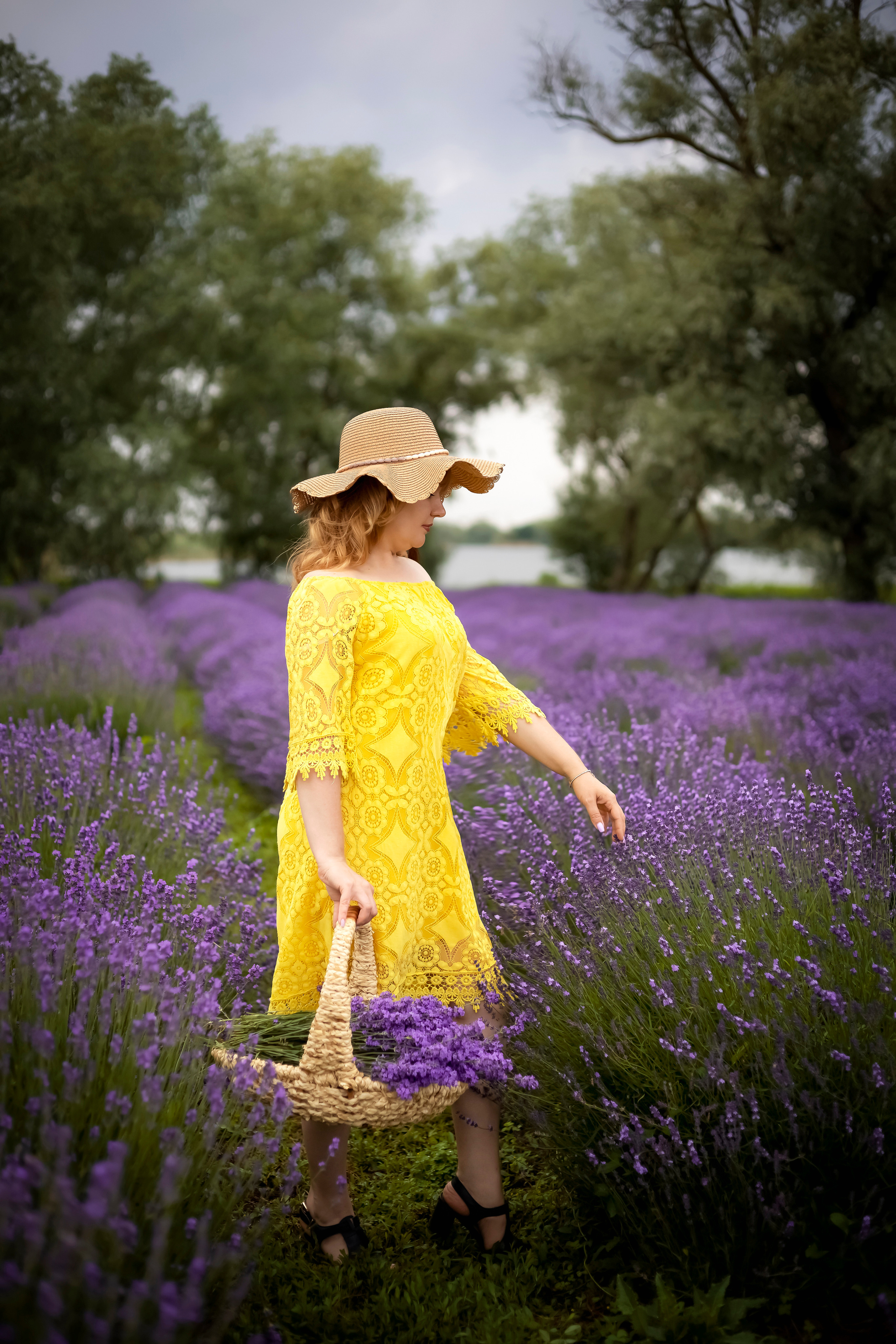 ЕЛЕНА В ЛАВАНДЕ. Фотограф Людмила Лебединская г. Краснодар (Приморско-Ахтарский р-он)