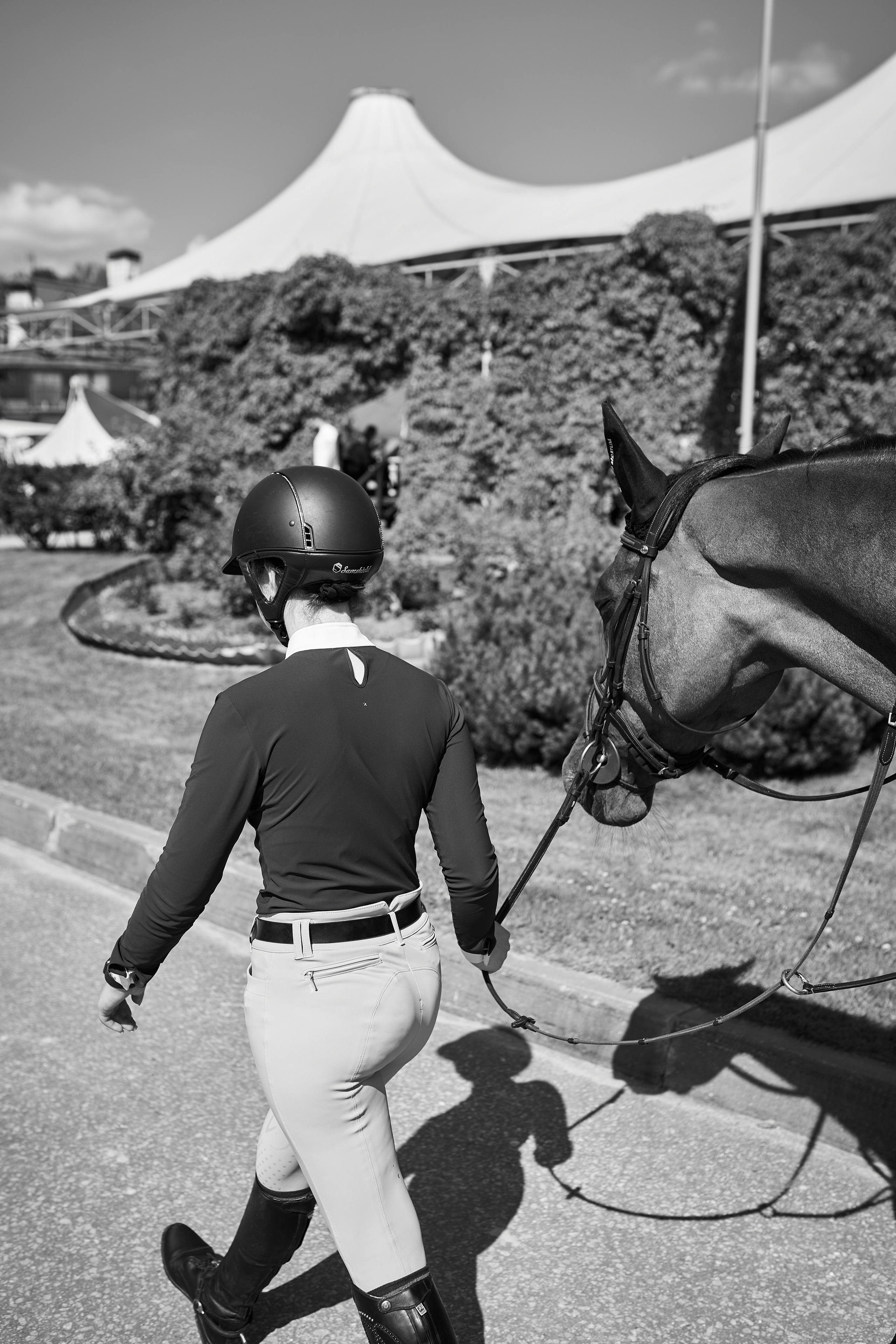 Алиса и Кон Челла В. Фотосессии с лошадьми в Москве, Новосибирске
