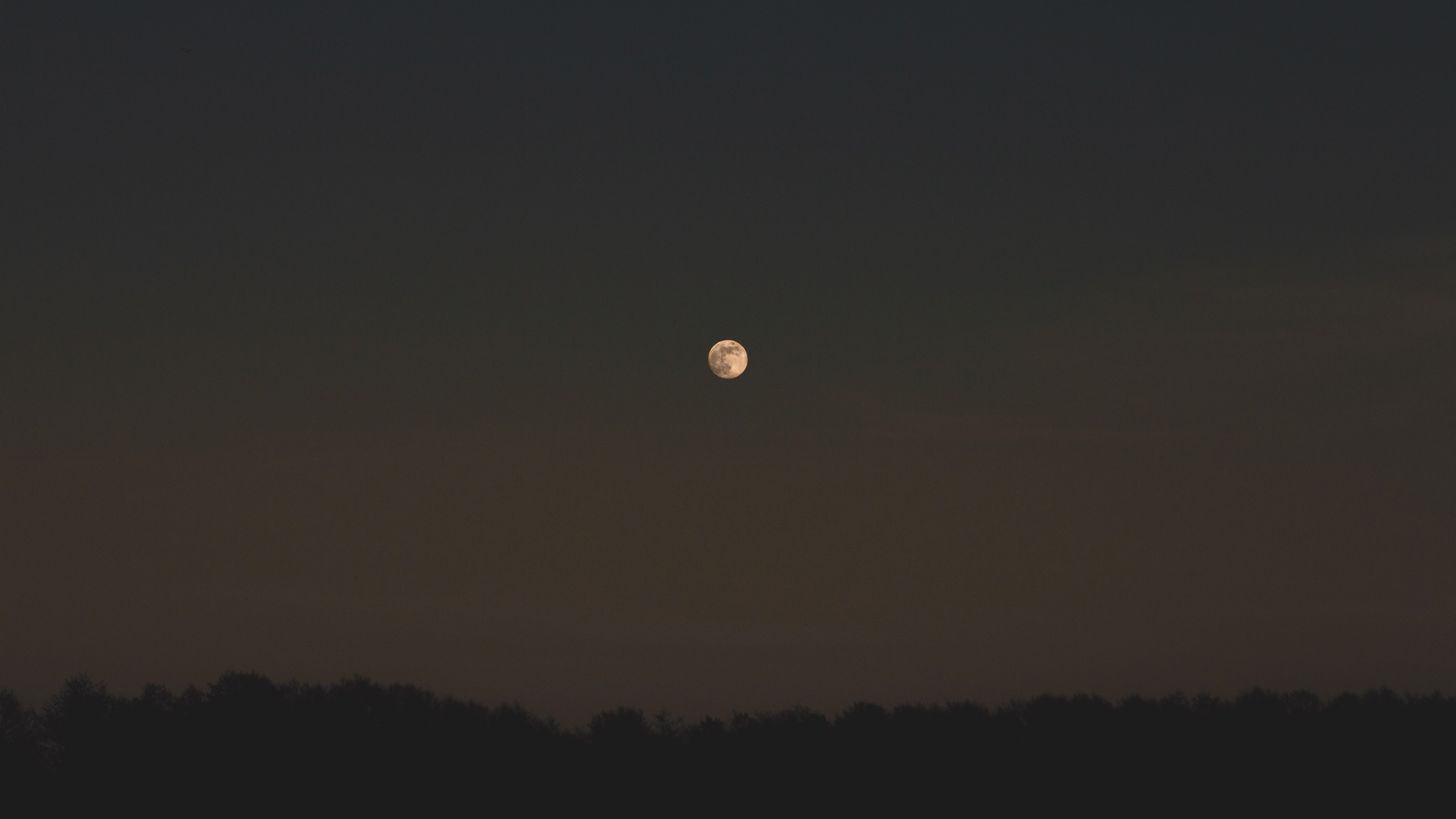 Солнце и Луна. Светофография