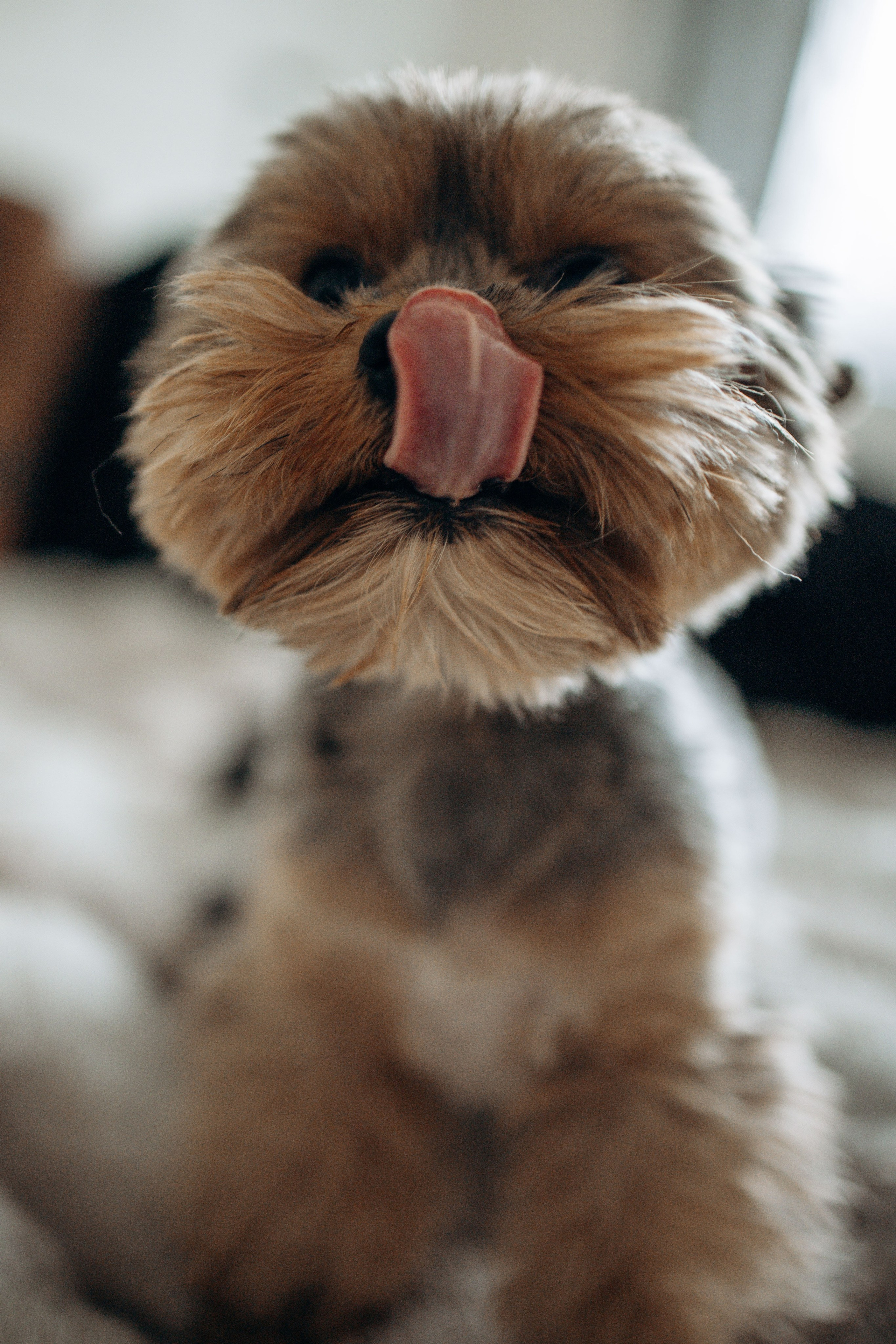 Настя и Йося