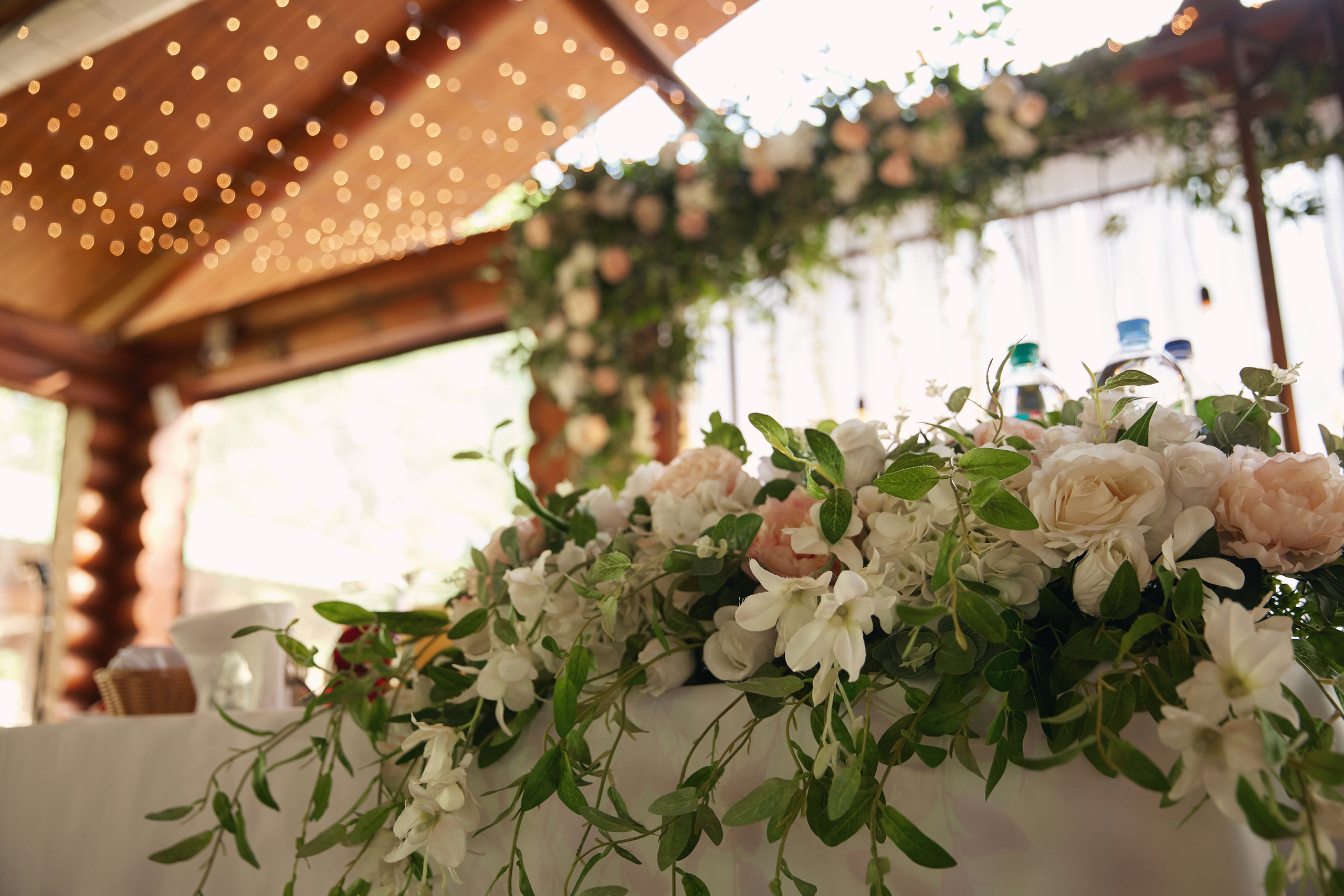 Вероника и Данила