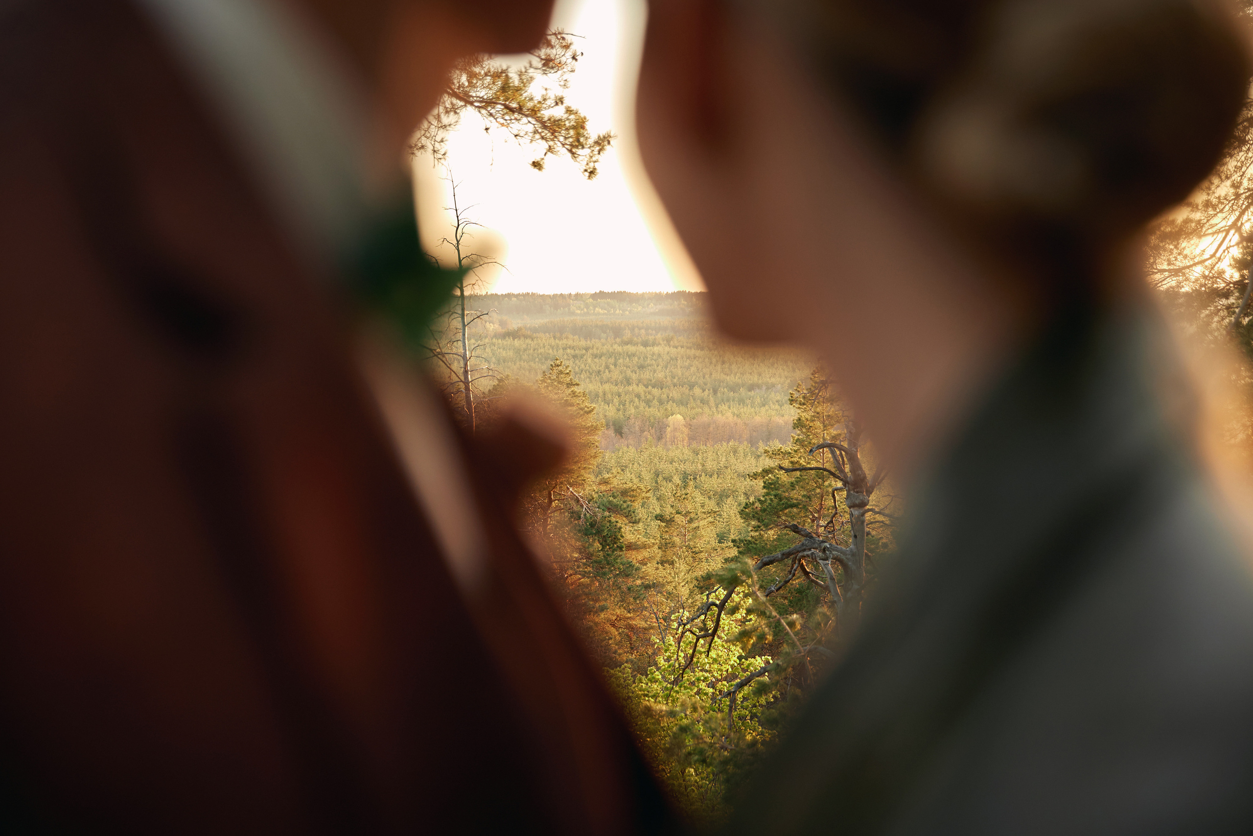 Алина и Алексей