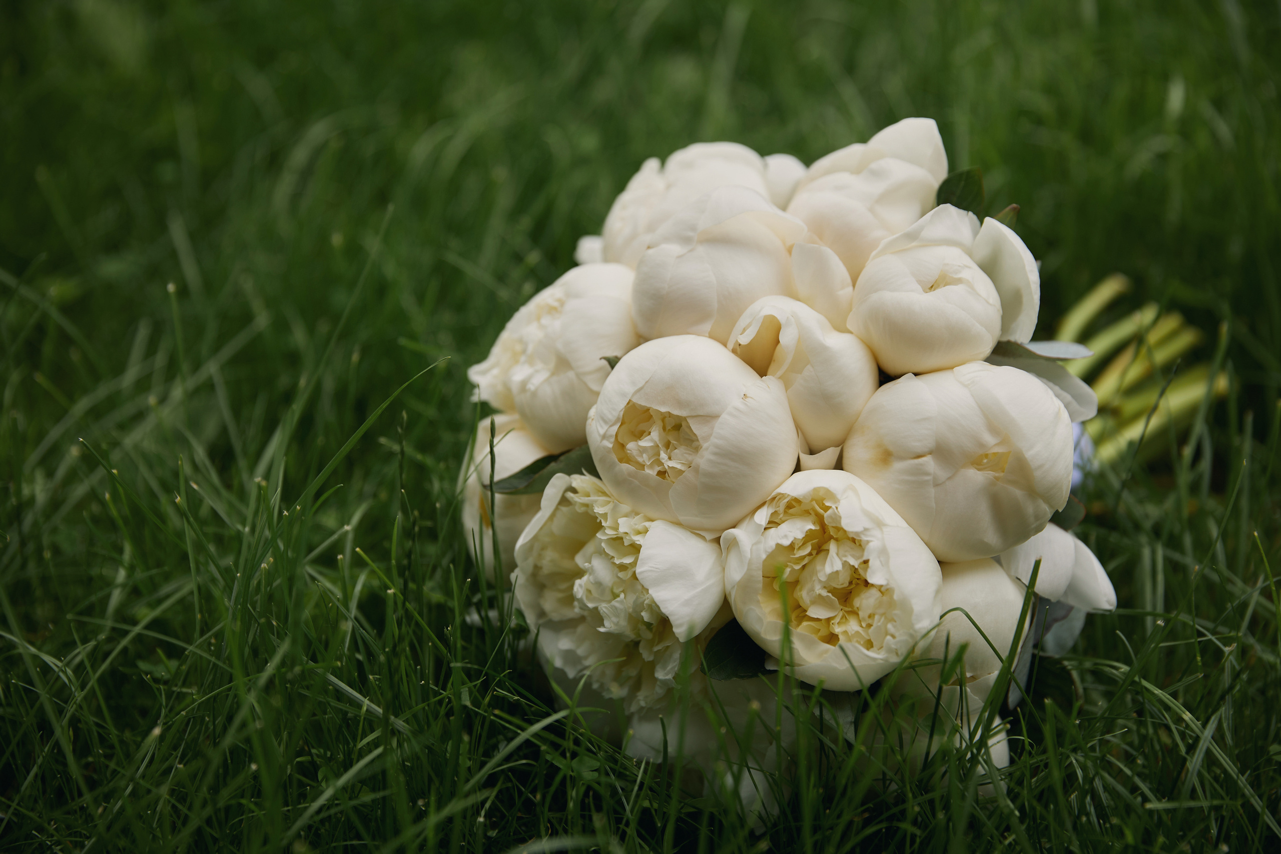 Вероника и Данила