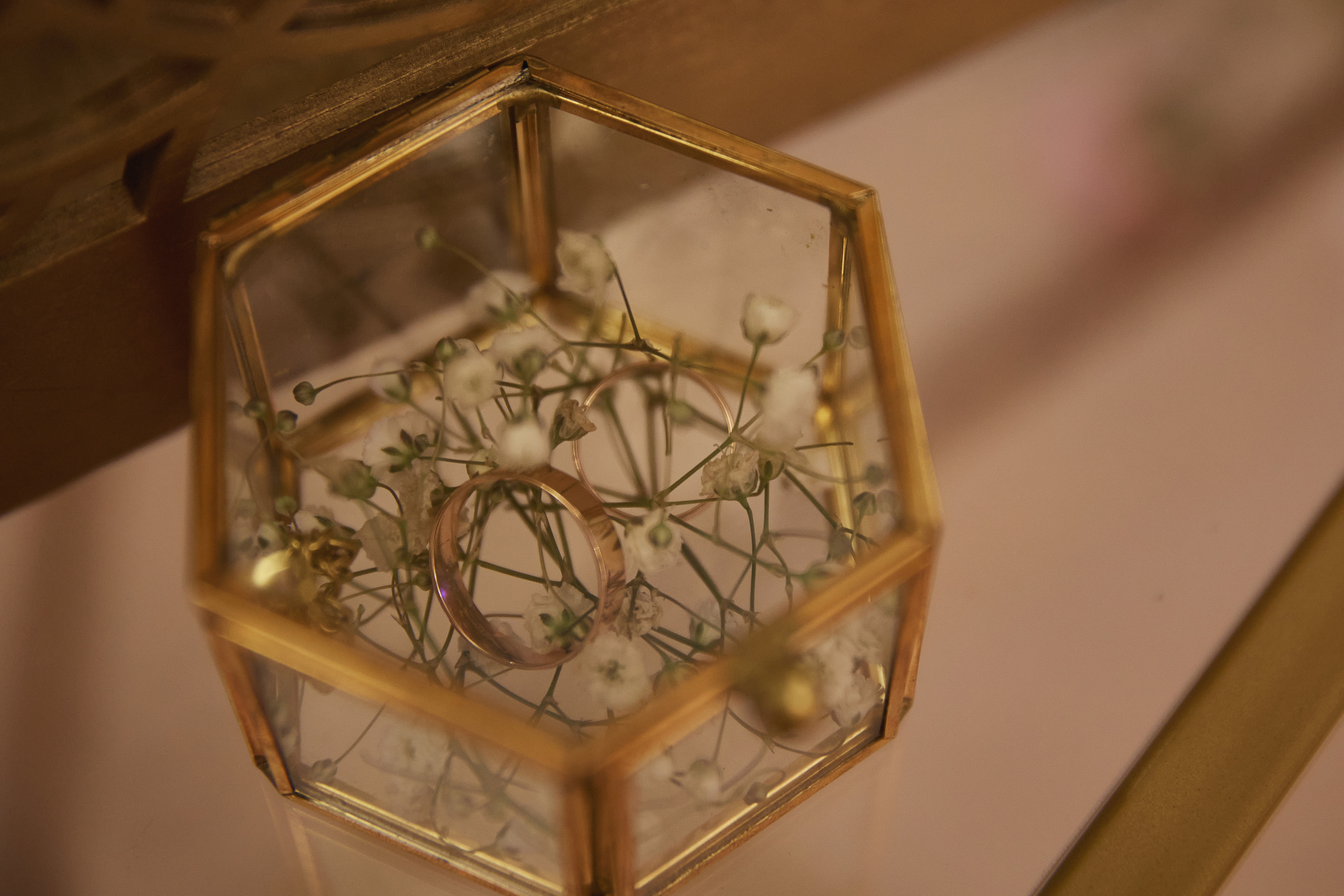 Анастасия и Глеб