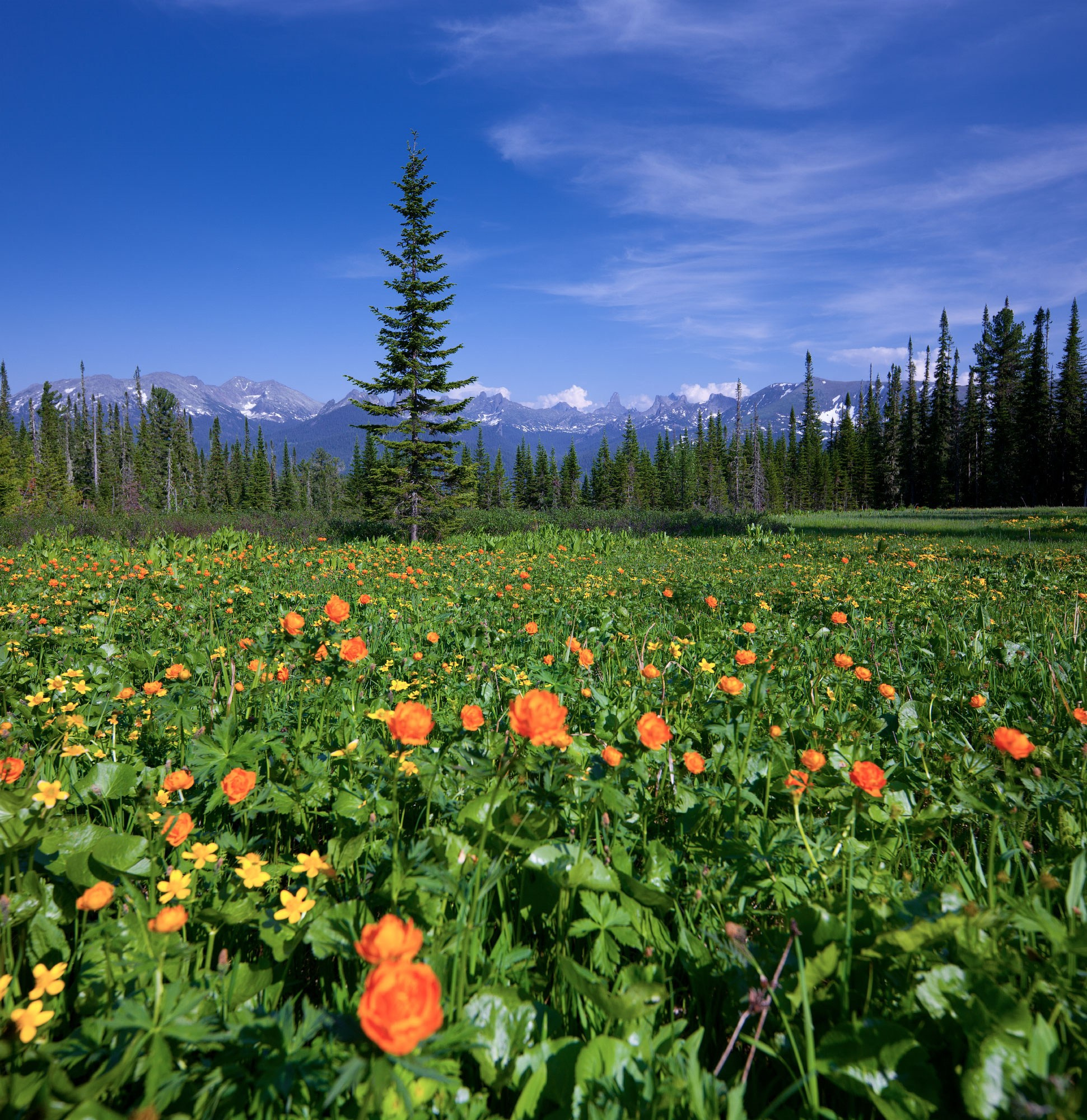 Свадебный фотограф в Геленджике
