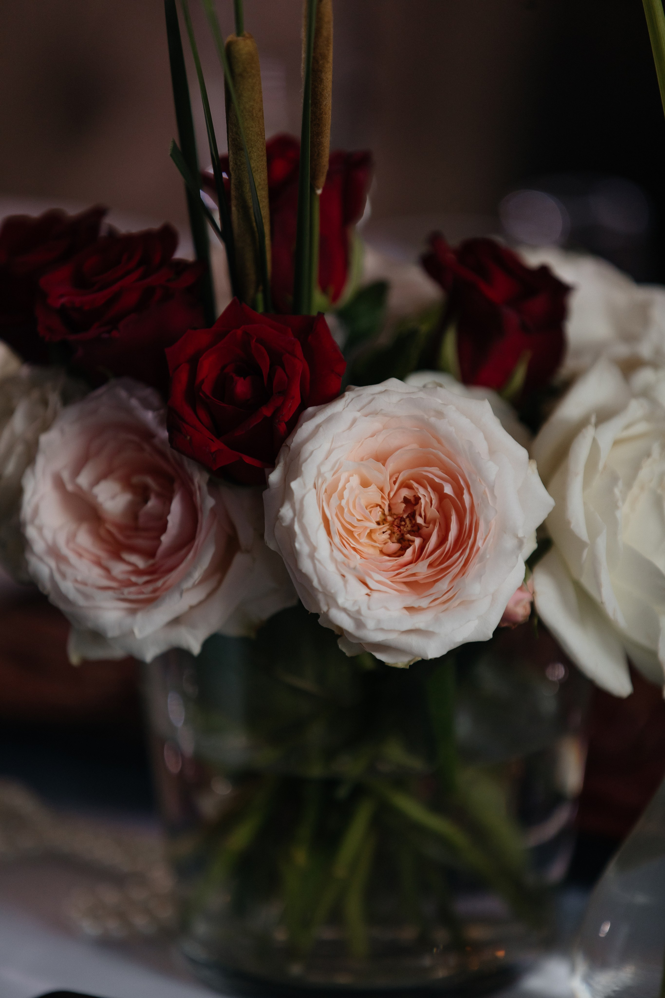 И&И. Фотограф Таганрог Хребет София