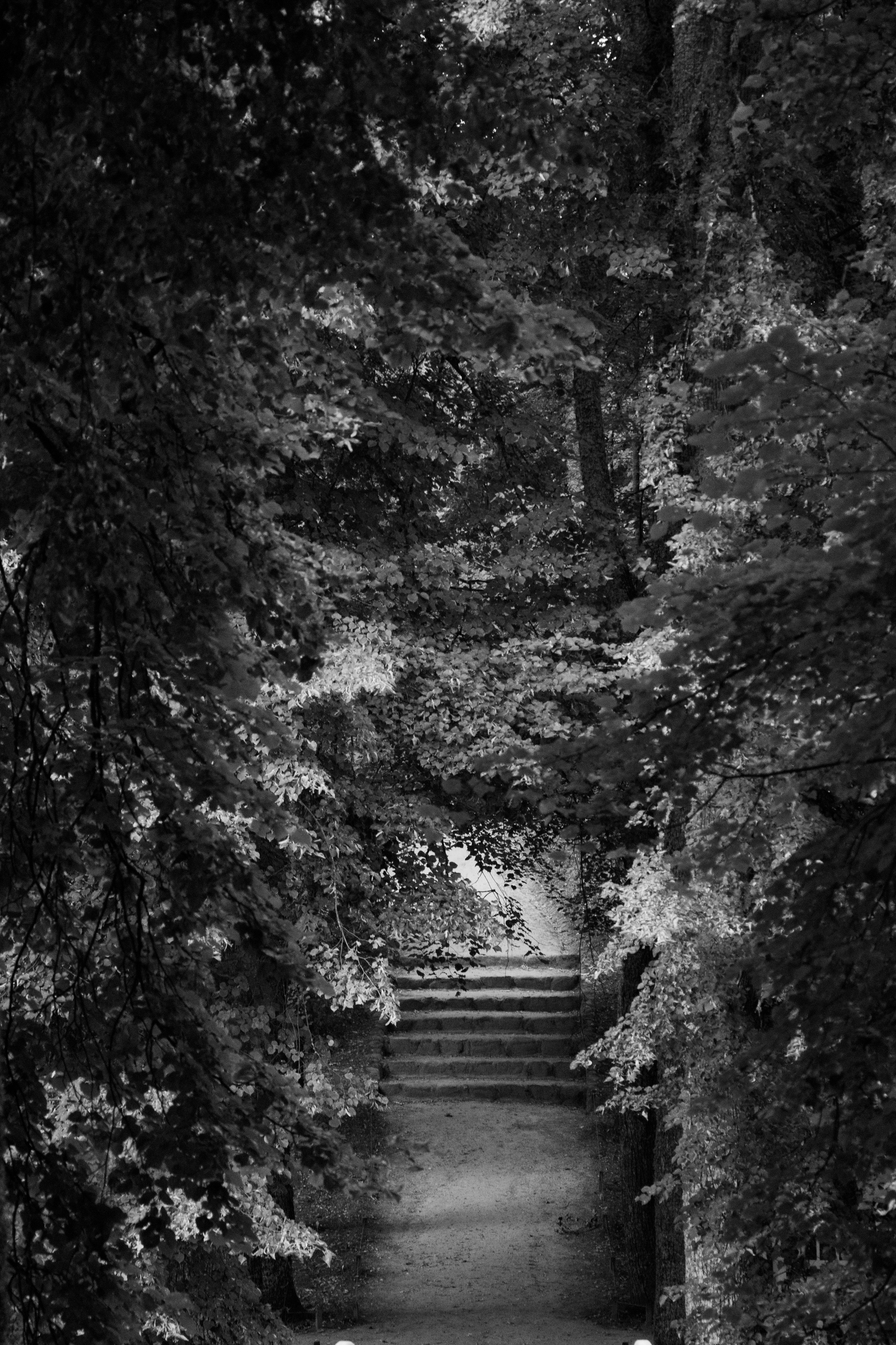 Документальное. Фотограф-любитель Ксения Мирзоян