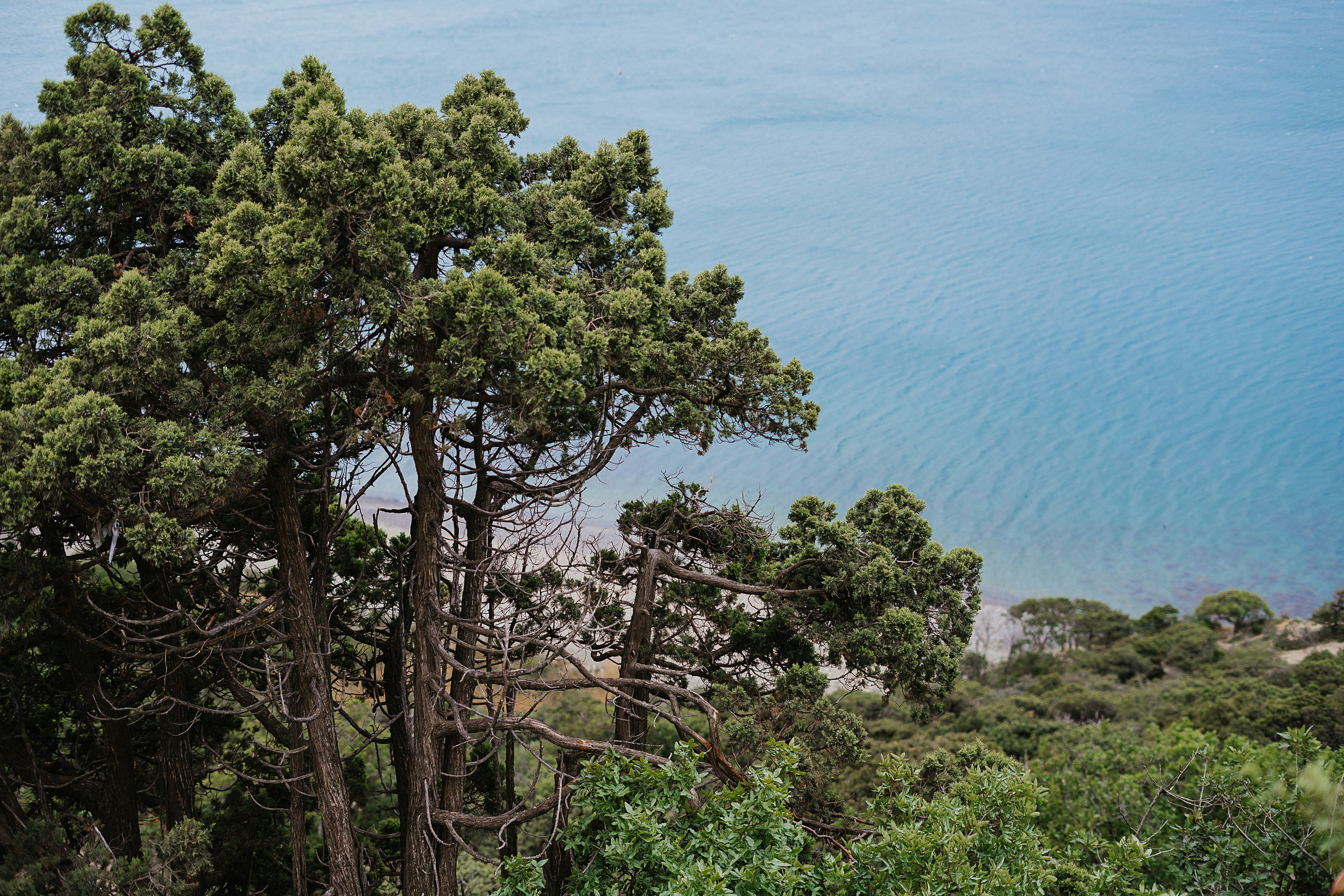 Море. Свадебный и семейный фотограф/видеограф в Краснодаре Наталья Осинская