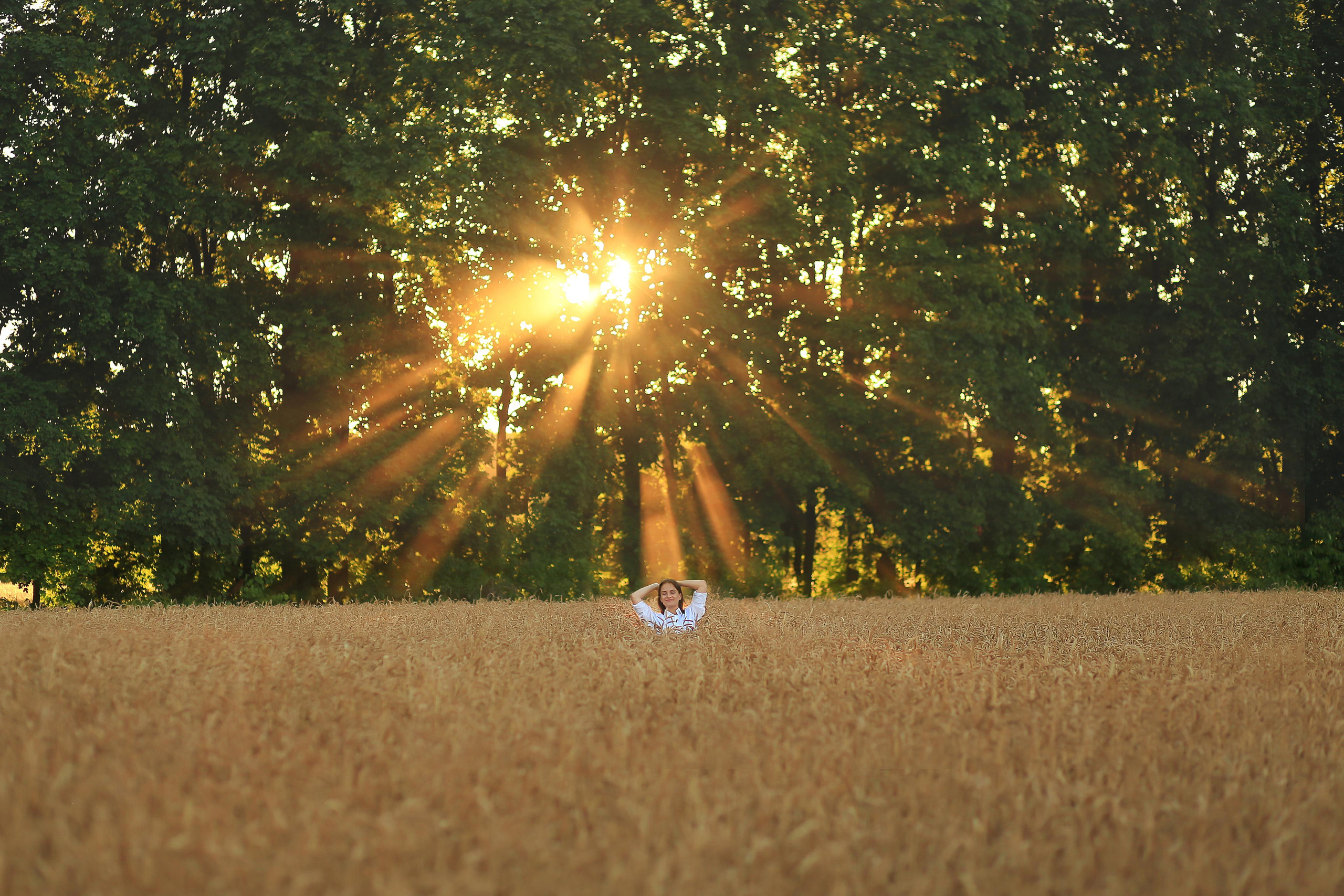 Закат, поля и ромашки. Семейный фотограф в Воронеже Плотникова Алина