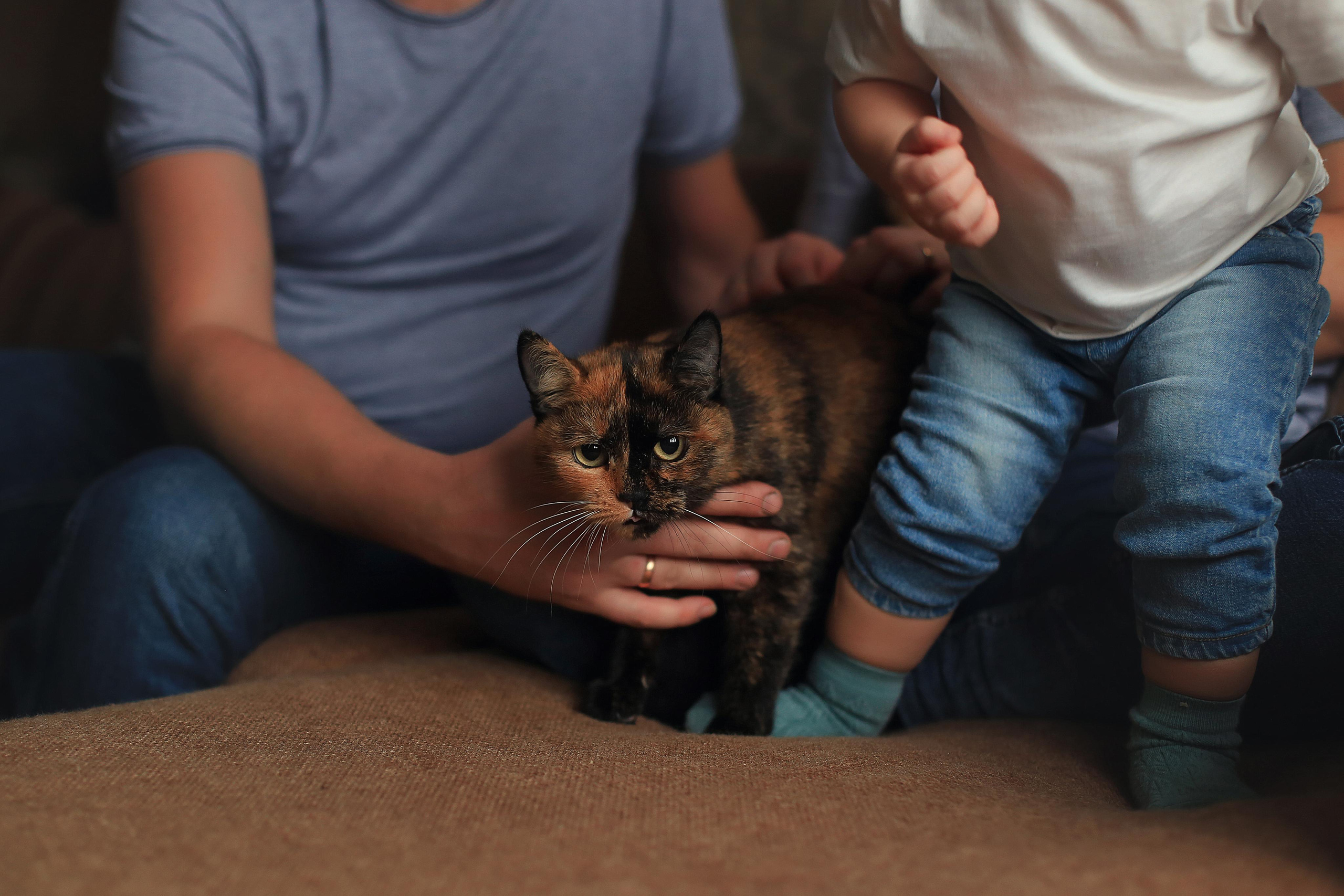 16 декабря. Семейный фотограф в Воронеже Плотникова Алина