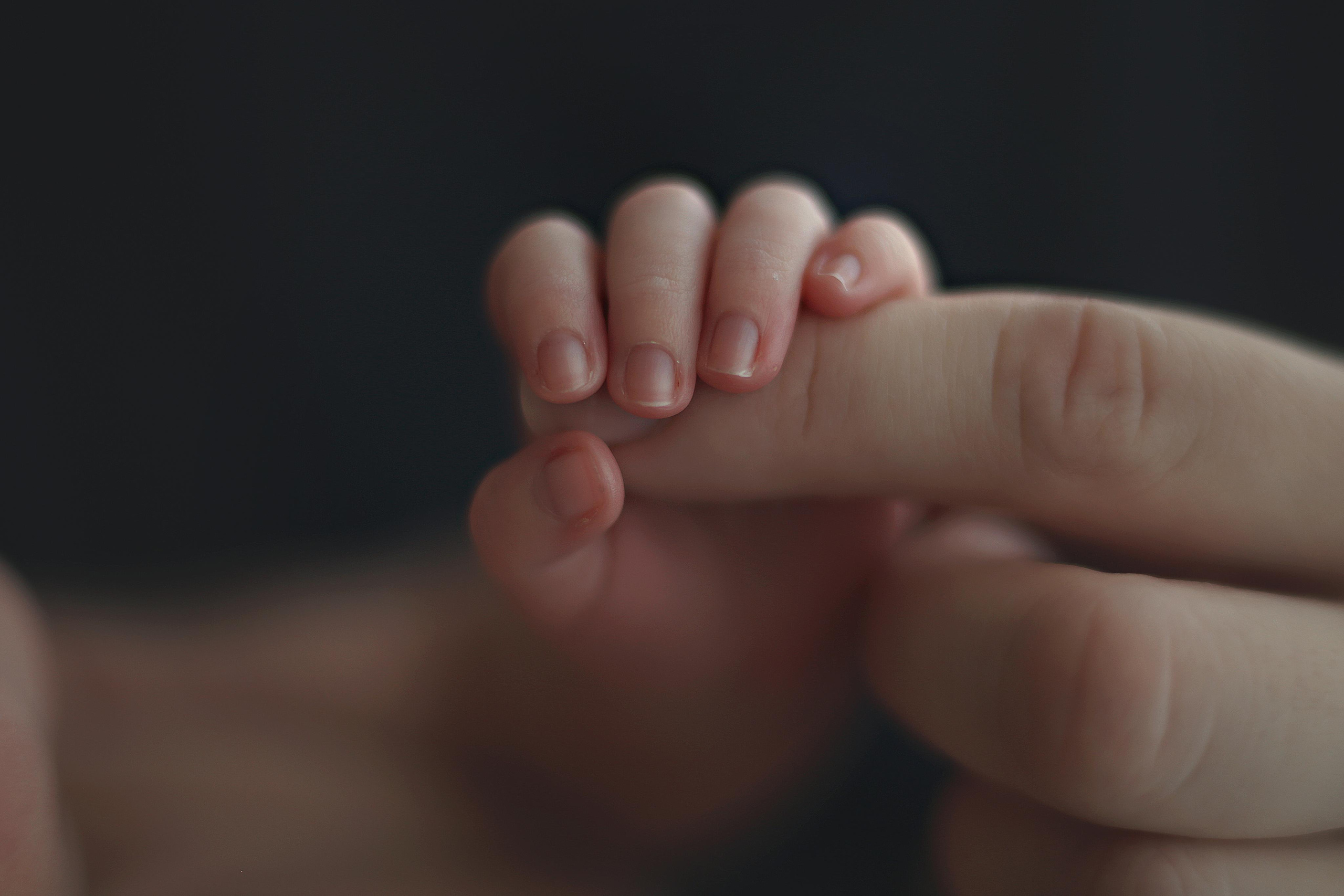 7 августа. Семейный фотограф в Воронеже Плотникова Алина