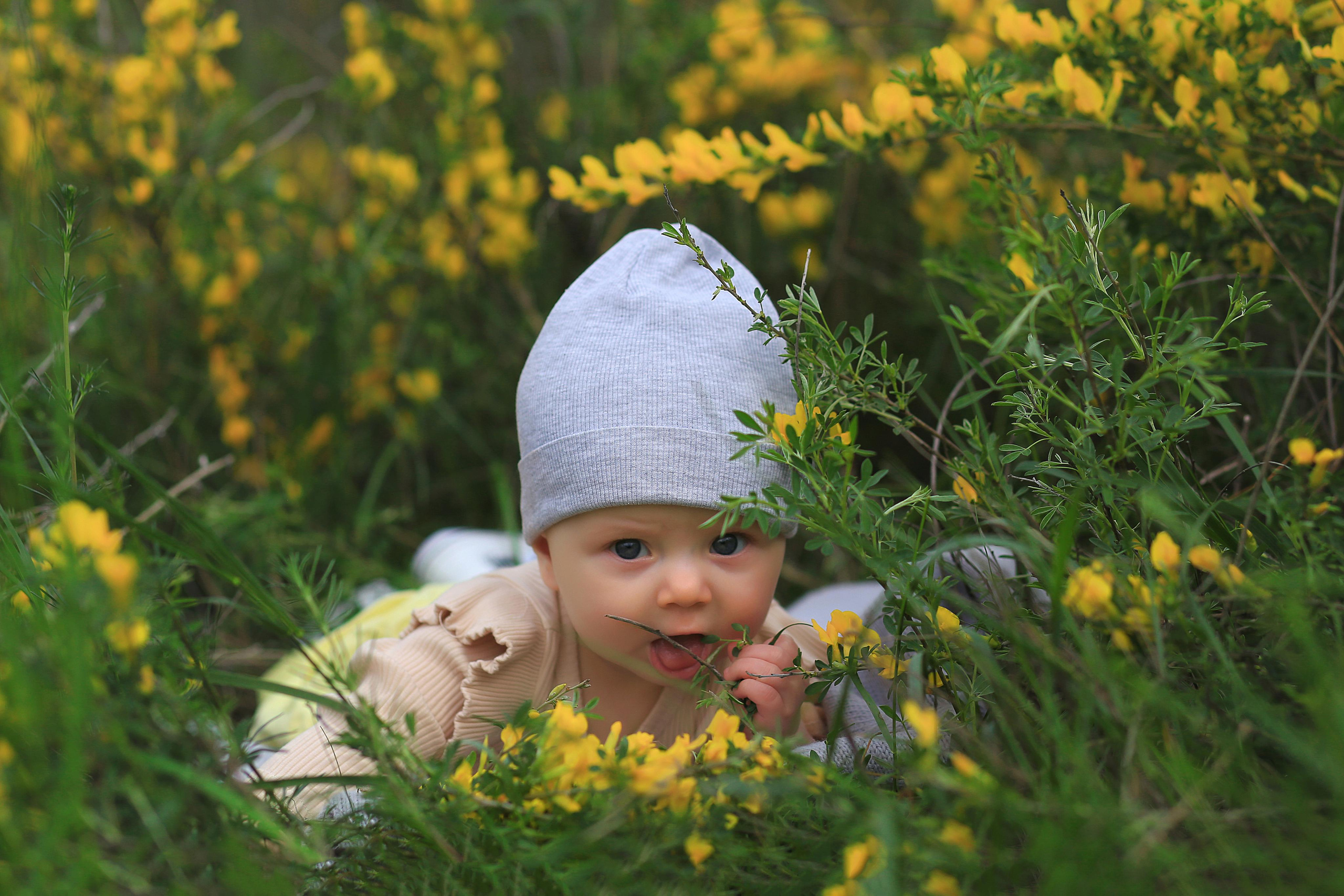 Желтая весна. Семейный фотограф в Воронеже Плотникова Алина