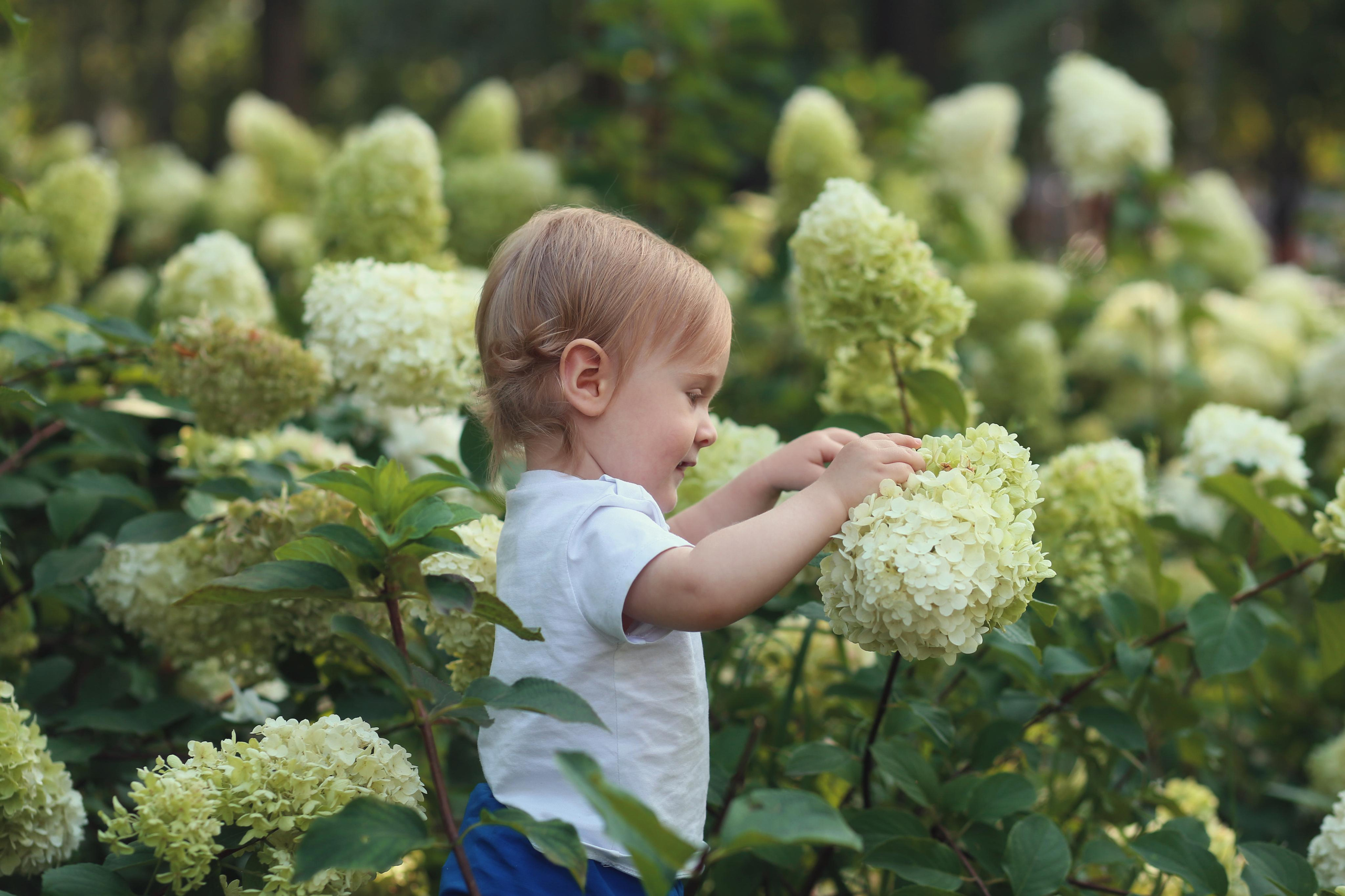 Прогулка в «Орленке». Семейный фотограф в Воронеже Плотникова Алина