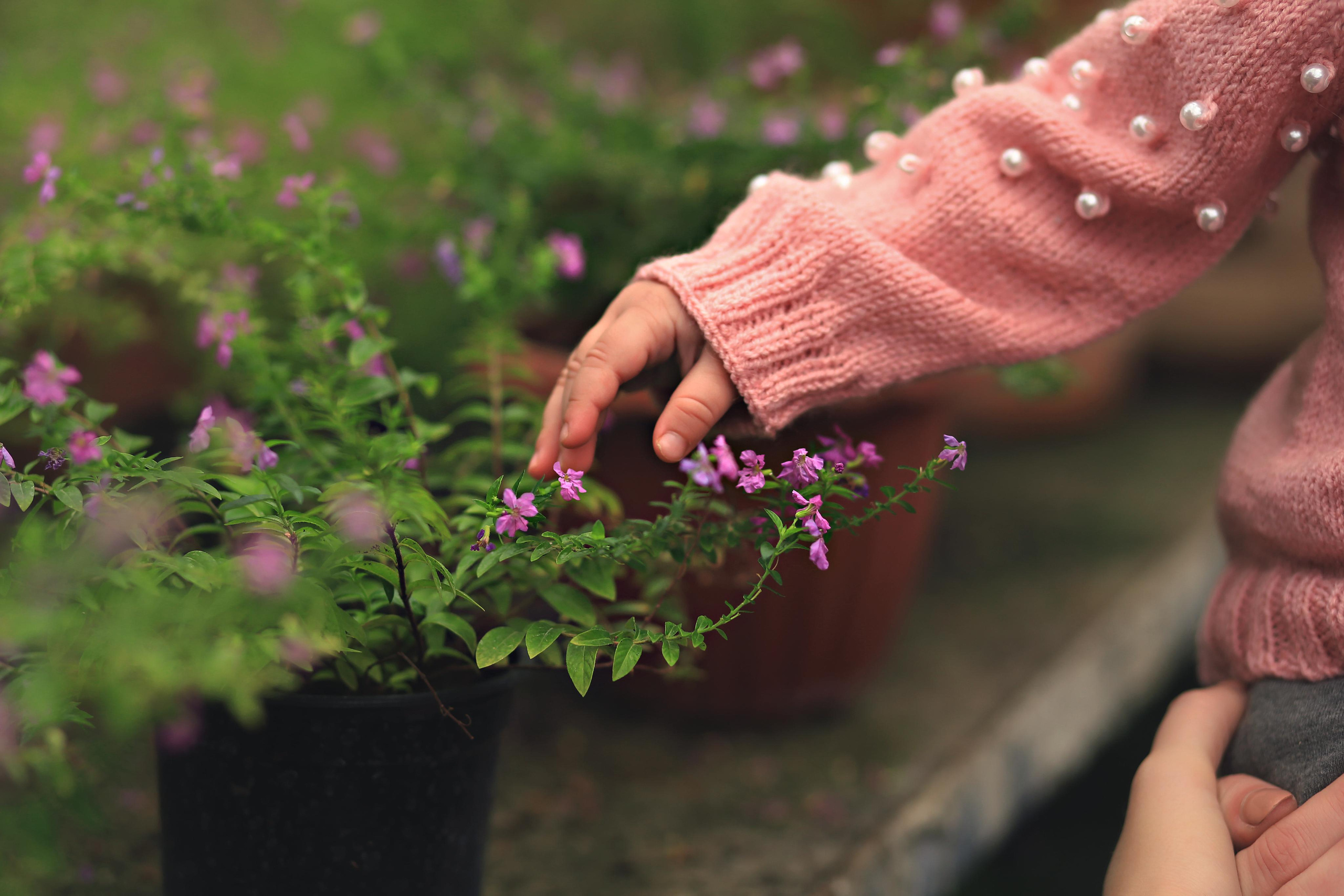 Ботанический сад. Семейный фотограф в Воронеже Плотникова Алина
