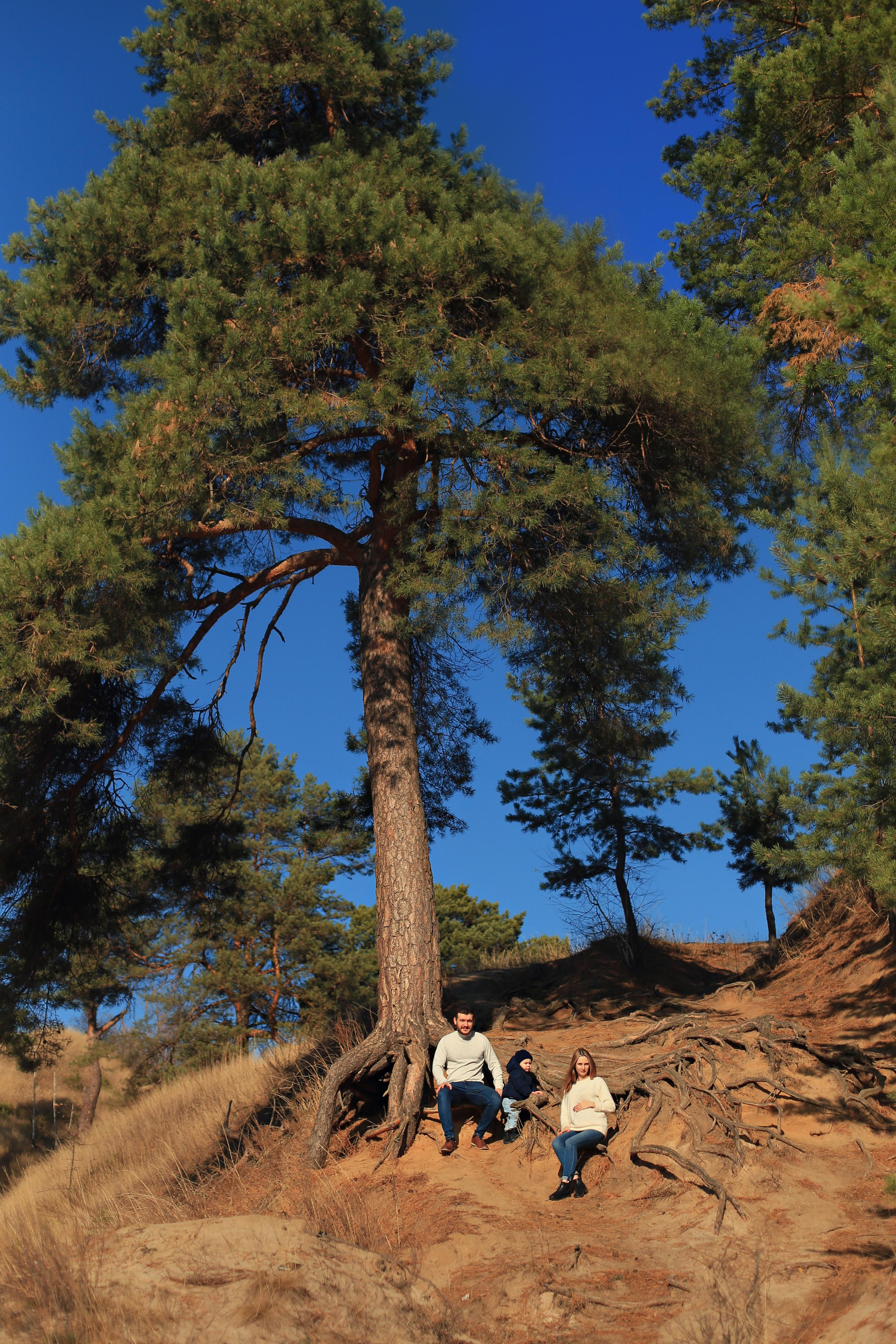 Рамонь. Осень. Семейный фотограф в Воронеже Плотникова Алина