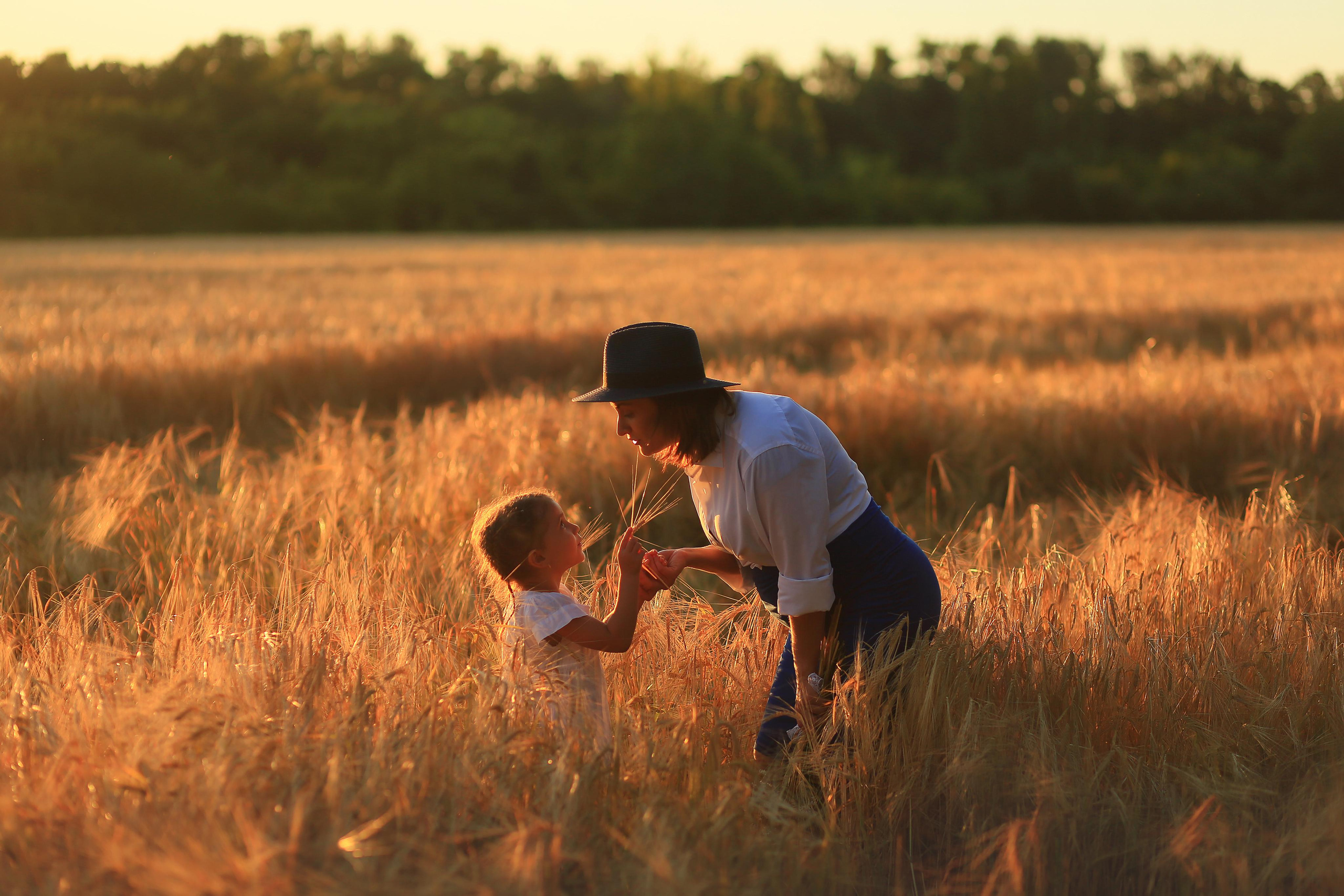 Закат, поля и ромашки. Семейный фотограф в Воронеже Плотникова Алина