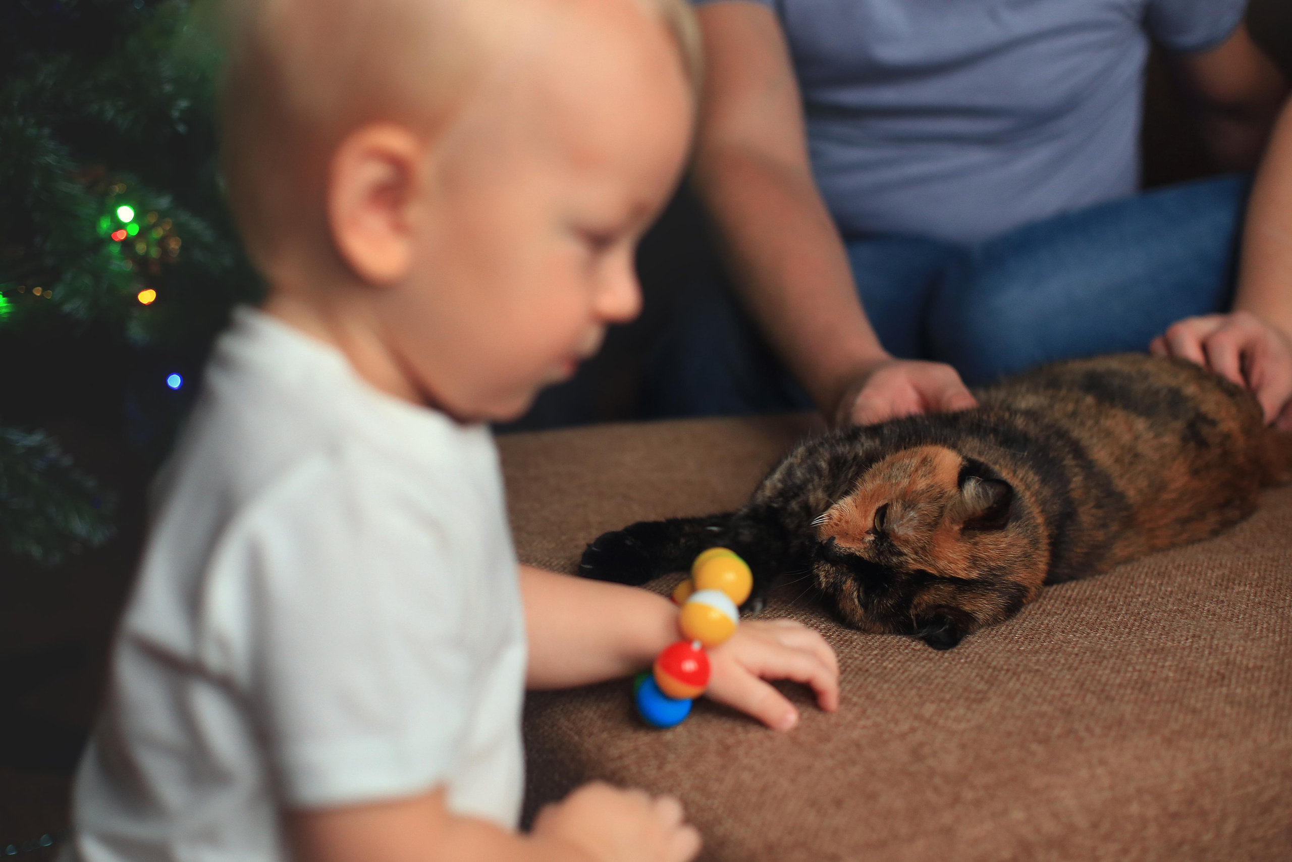 16 декабря. Семейный фотограф в Воронеже Плотникова Алина