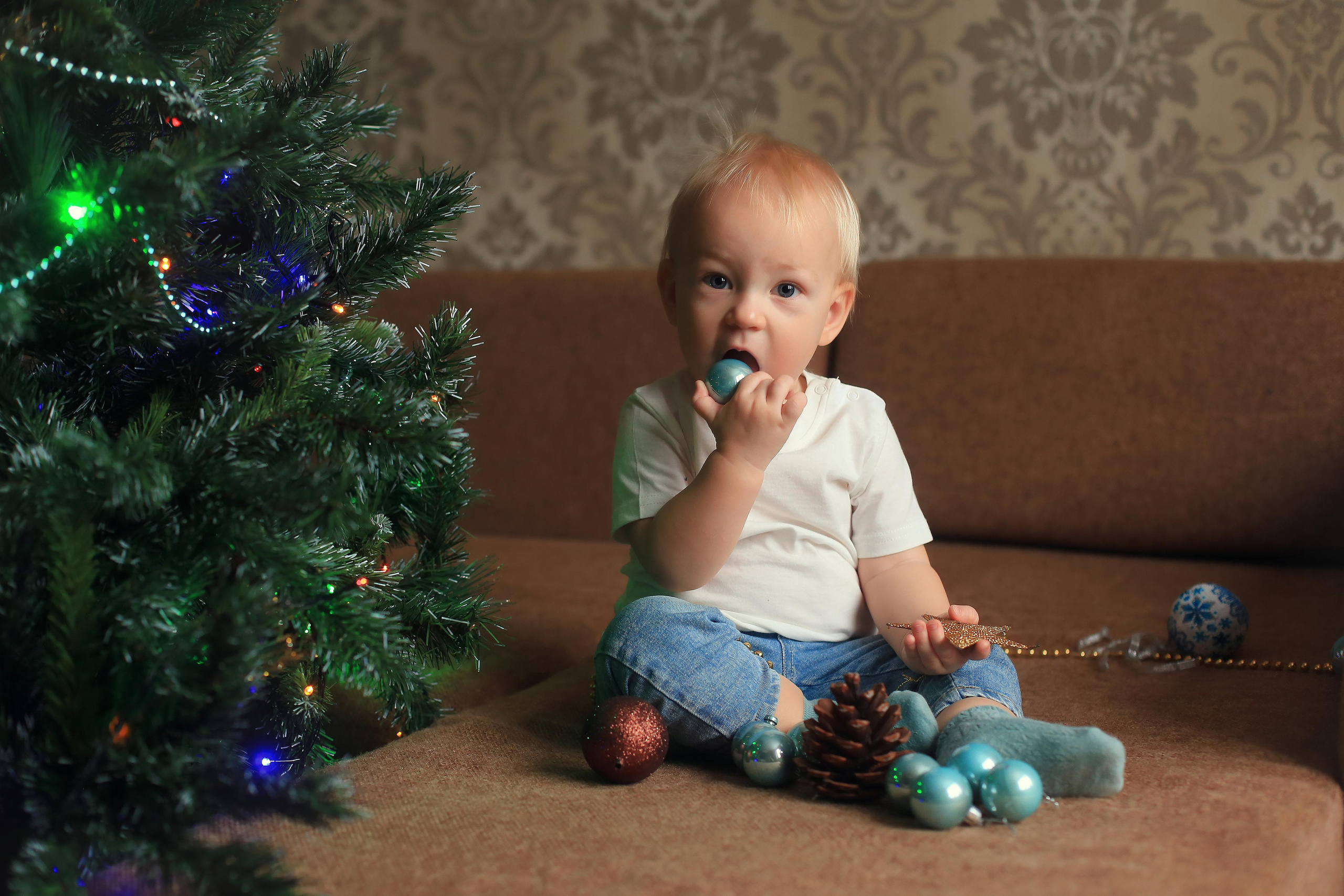 16 декабря. Семейный фотограф в Воронеже Плотникова Алина