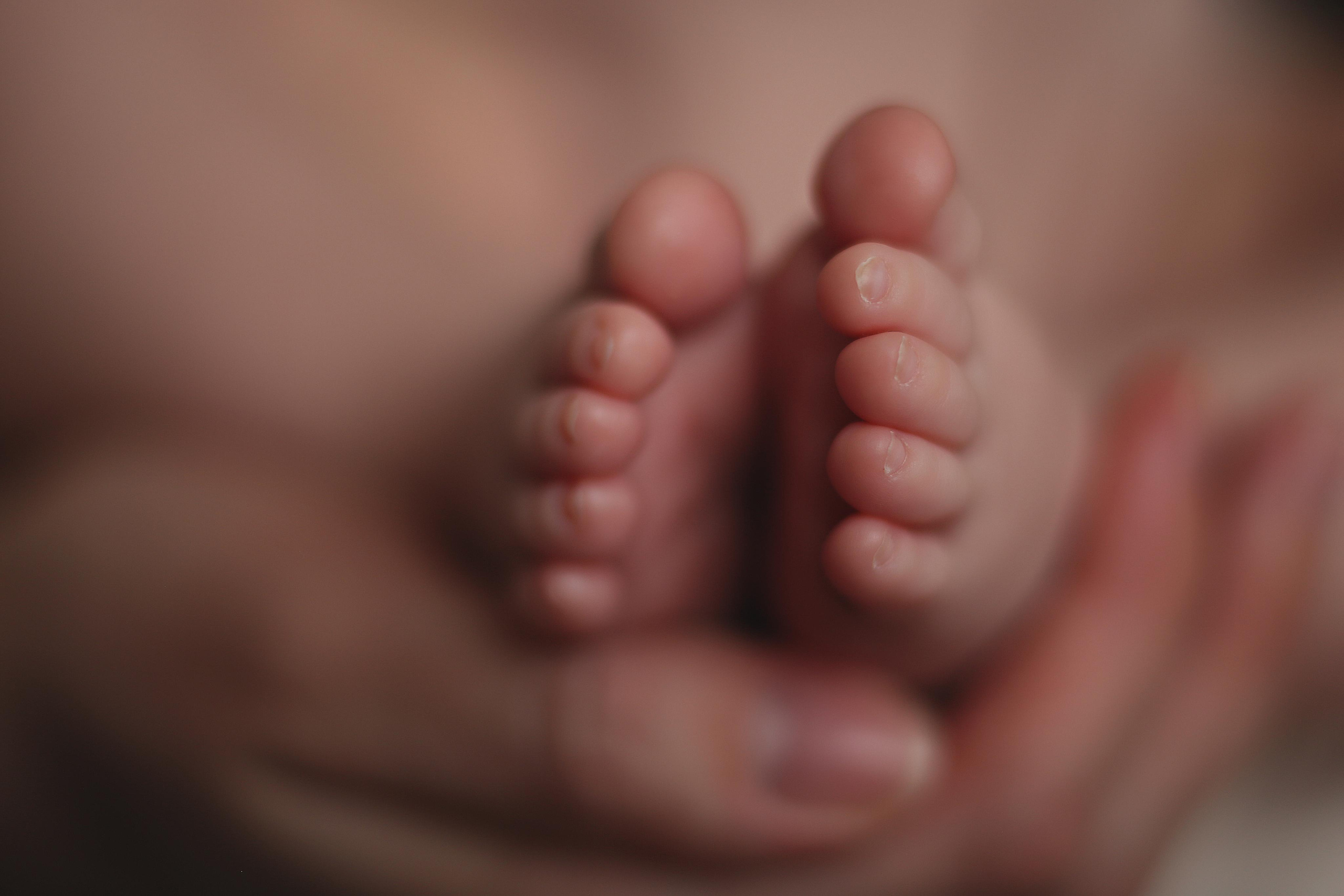 7 января. Семейный фотограф в Воронеже Плотникова Алина