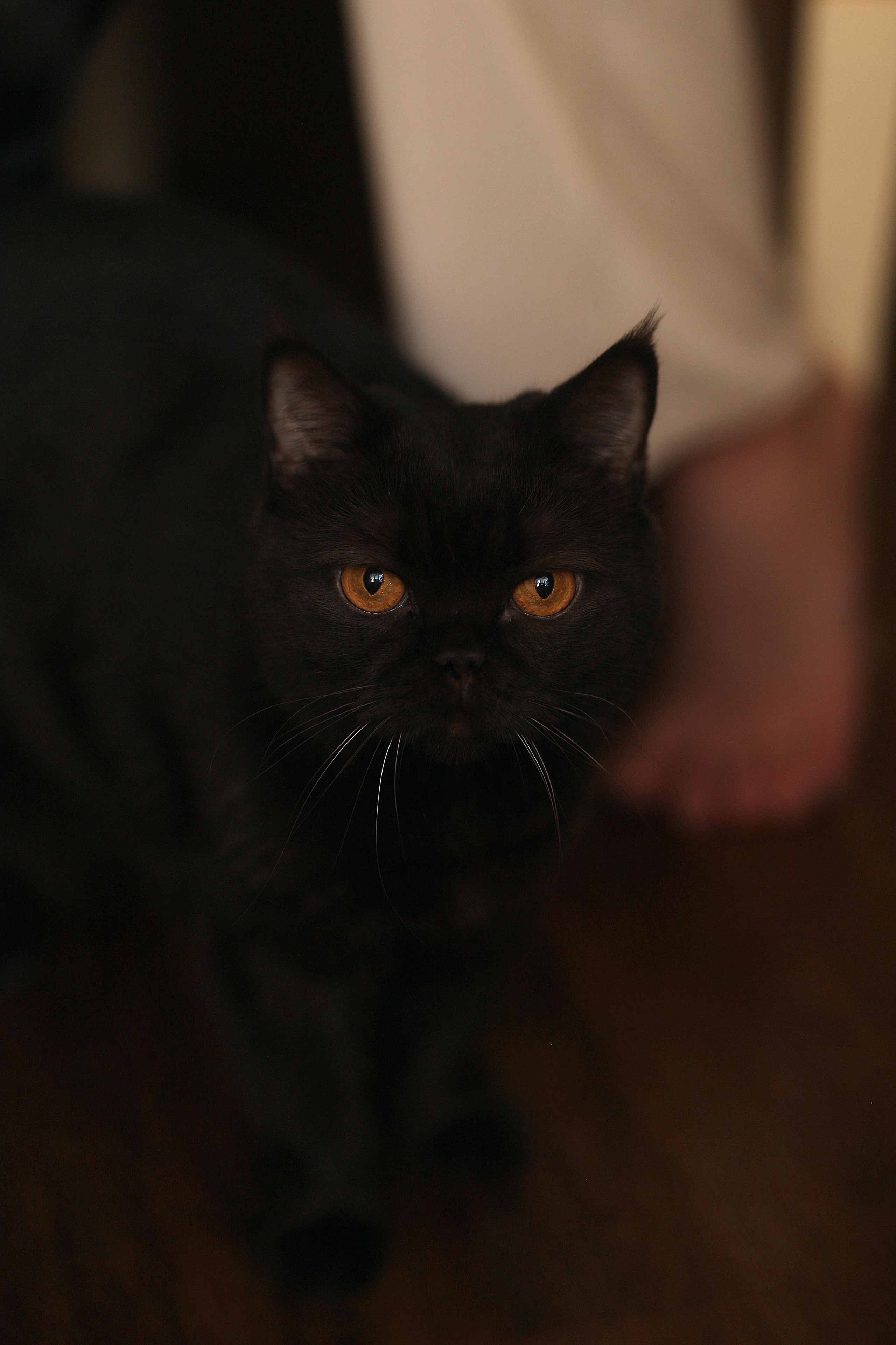 7 января. Семейный фотограф в Воронеже Плотникова Алина