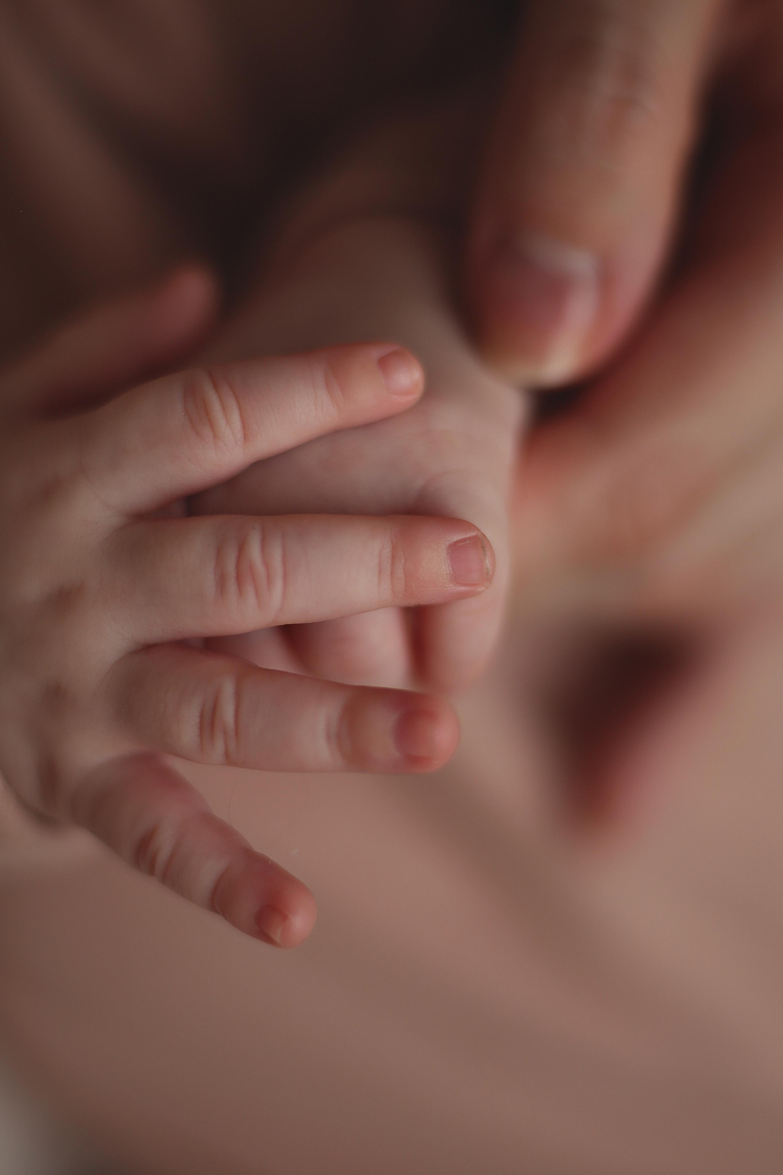 7 января. Семейный фотограф в Воронеже Плотникова Алина