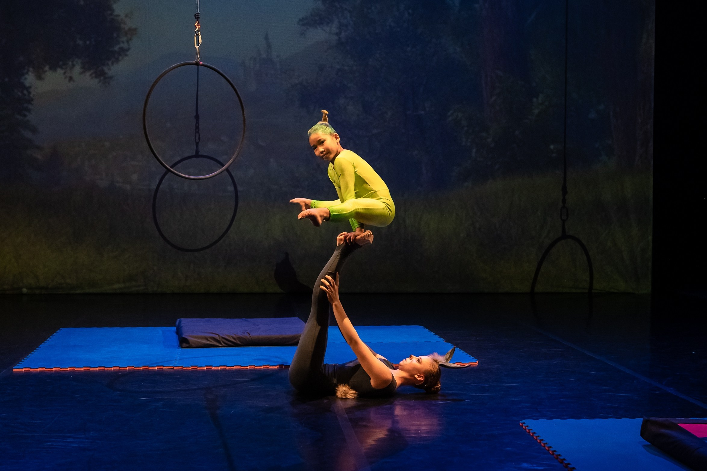 Отчетное выступление студии воздушной гимнастики Sport Evolution. Свадебный и семейный фотограф София Невская