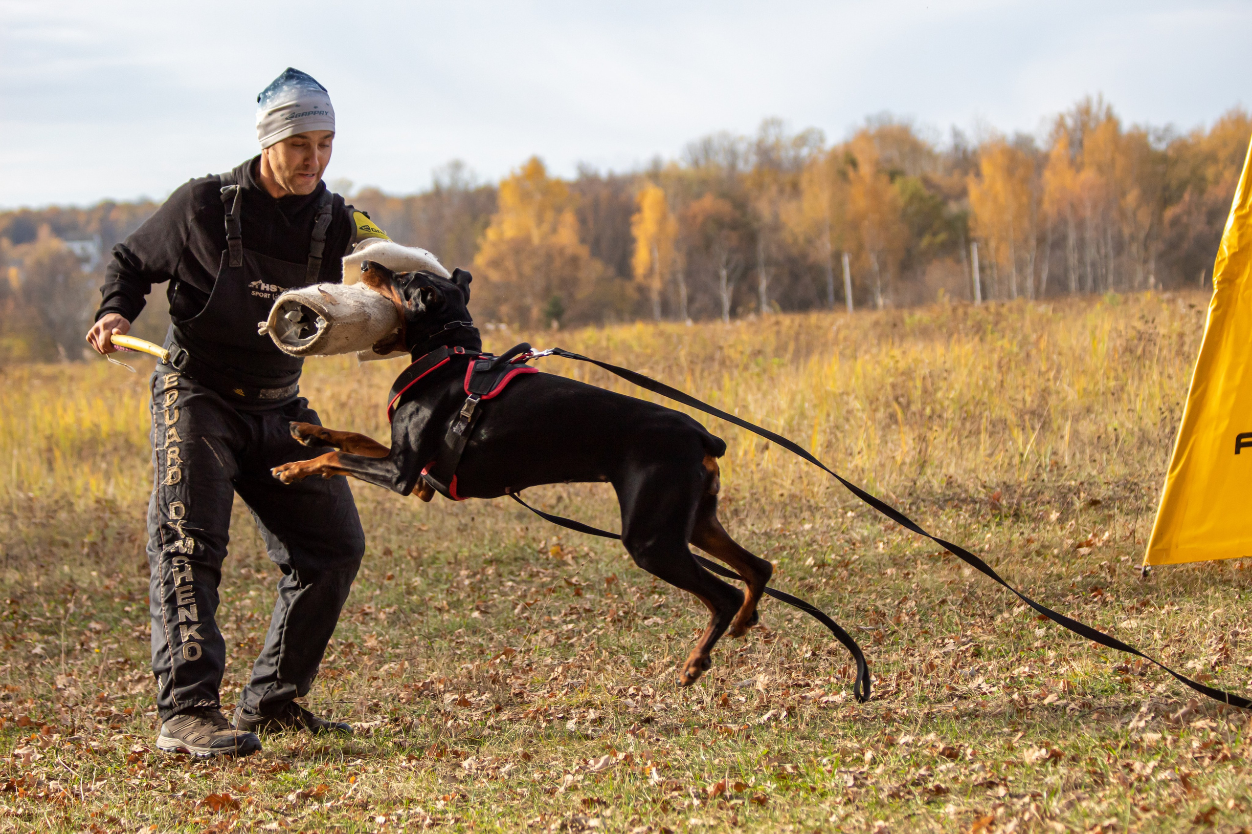 Тренинг защитного раздела. Фотограф анималист — Тула, Москва