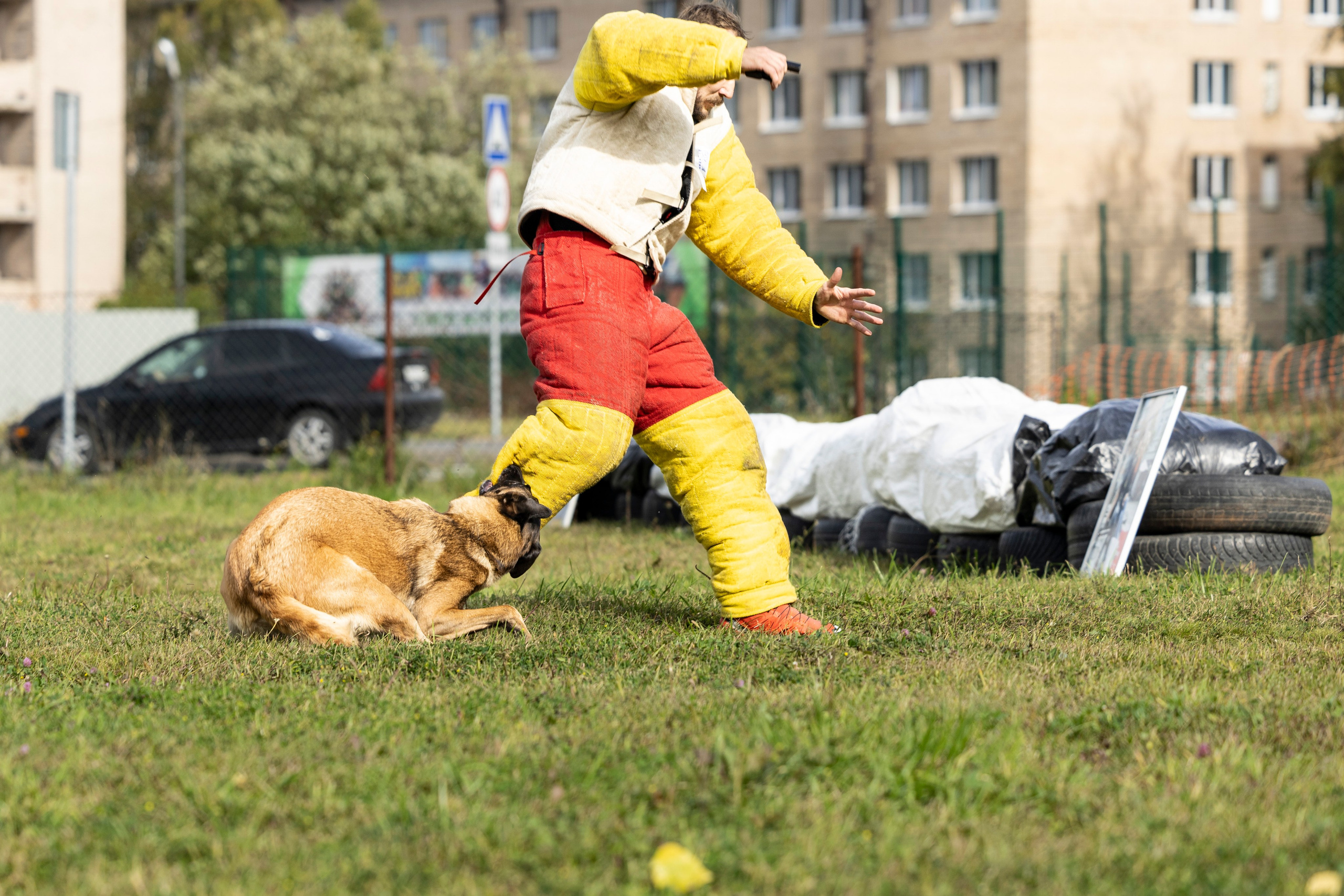 Испытания по Мондьорингу г. Пушкин. Фотограф-анималист Анна Маринич