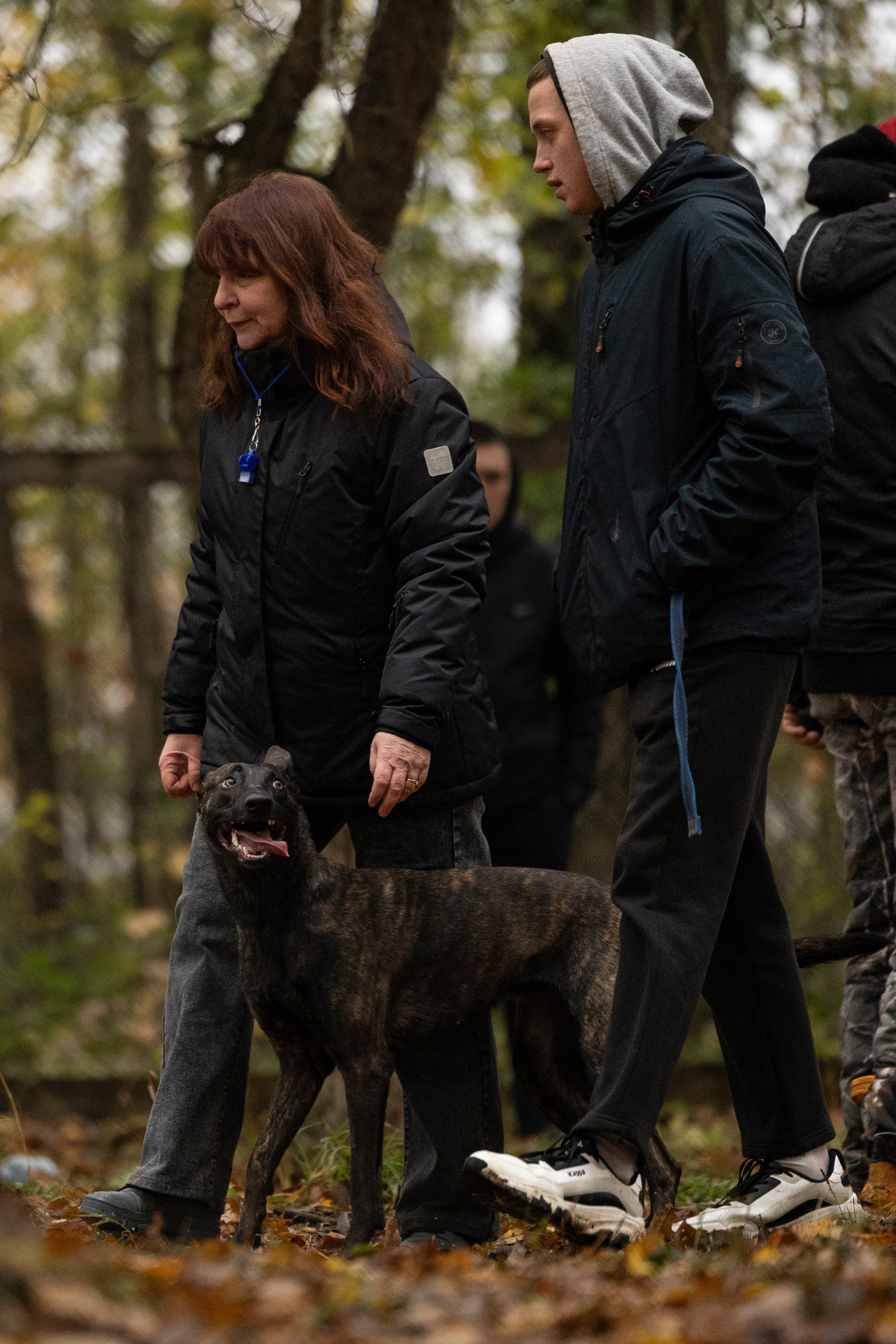 Соревнования по Мондьорингу г. Вологда. Фотограф-анималист Анна Маринич