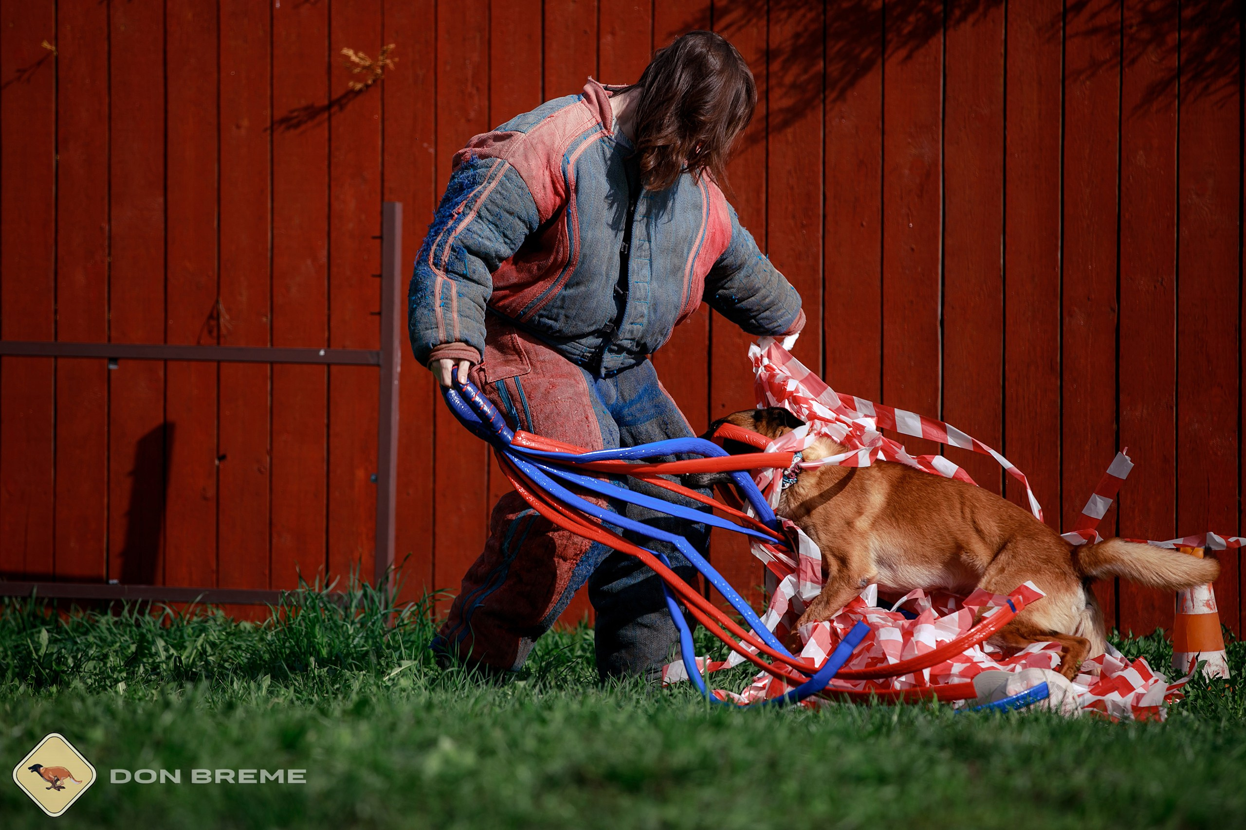 Семинар для фигурантов, день 2. Фотограф-анималист Mary Mart — Москва, Питер
