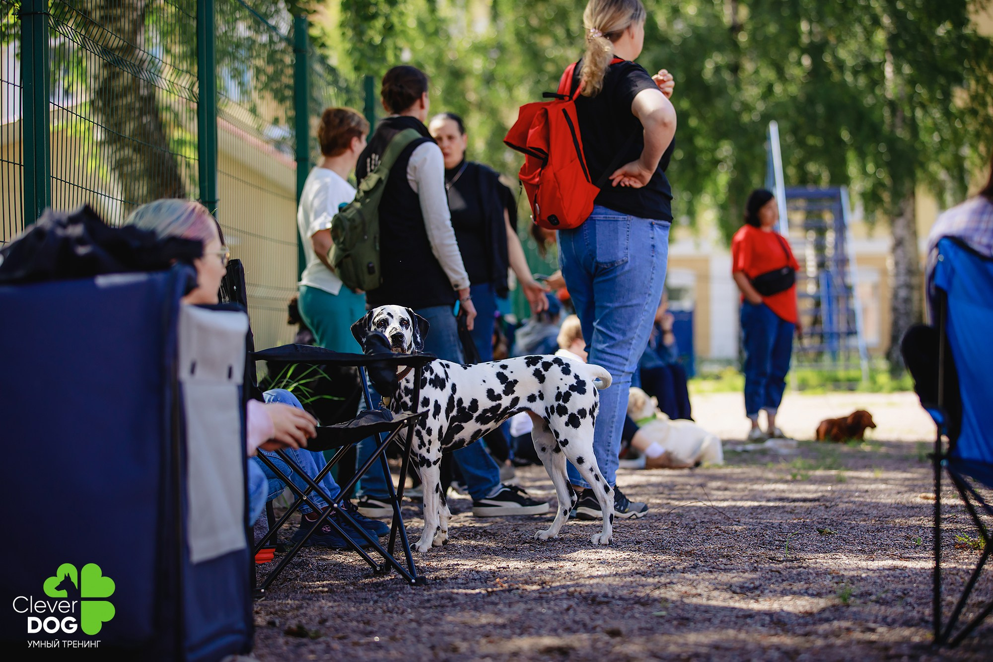 Семинар по поиску запаха с Иваном Ломовым, организатор CleverDog, СПб. Фотограф-анималист Mary Mart — Москва, Питер