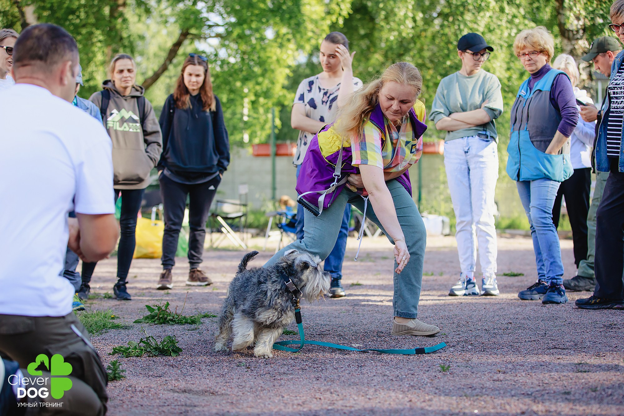Семинар по поиску запаха с Иваном Ломовым, организатор CleverDog, СПб. Фотограф-анималист Mary Mart — Москва, Питер