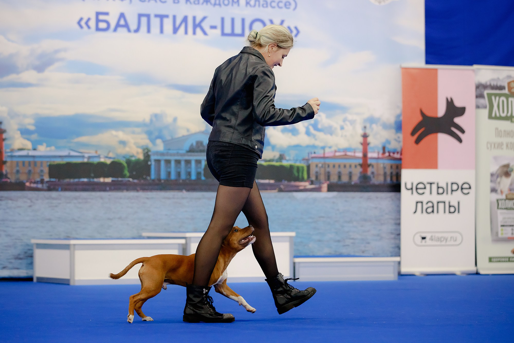 Танцы на выставке «Зоошоу», СПб. Фотограф-анималист Mary Mart — Москва, Питер